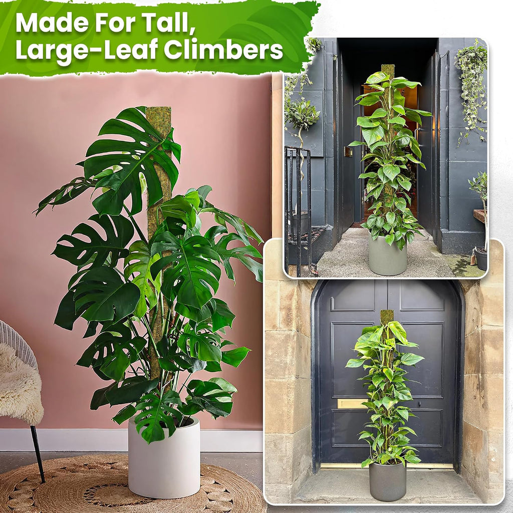 59" Large D-Shape Moss Pole for Big Climbing Plants, (1pc, 59'') | Rigid Support for Mature Plants with Heavy Stems