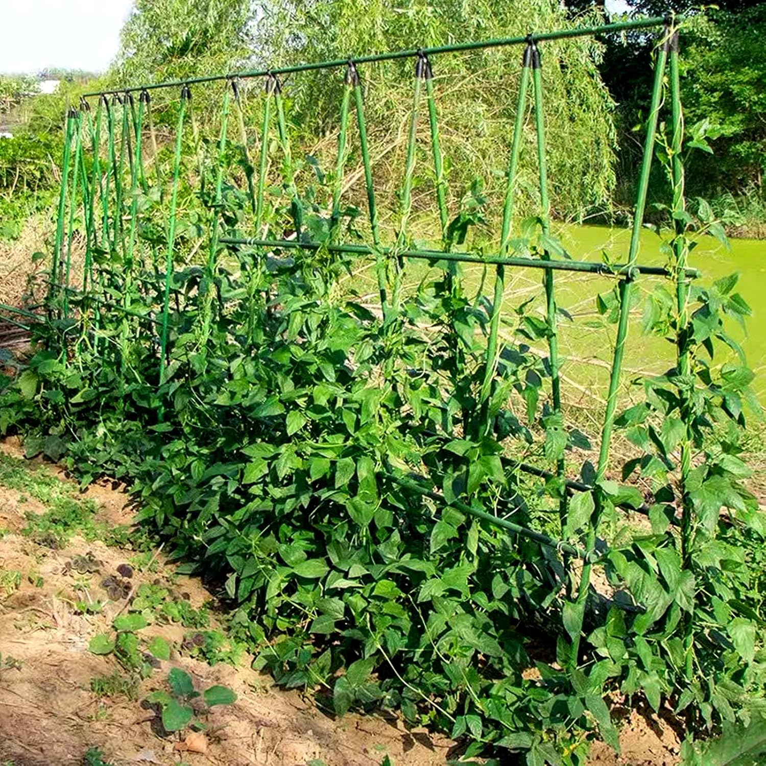 Adjustable Plant Trellis Connectors, Plastic Garden Stakes Clips for 0.78 inch Diameter Poles Connecting Joints for