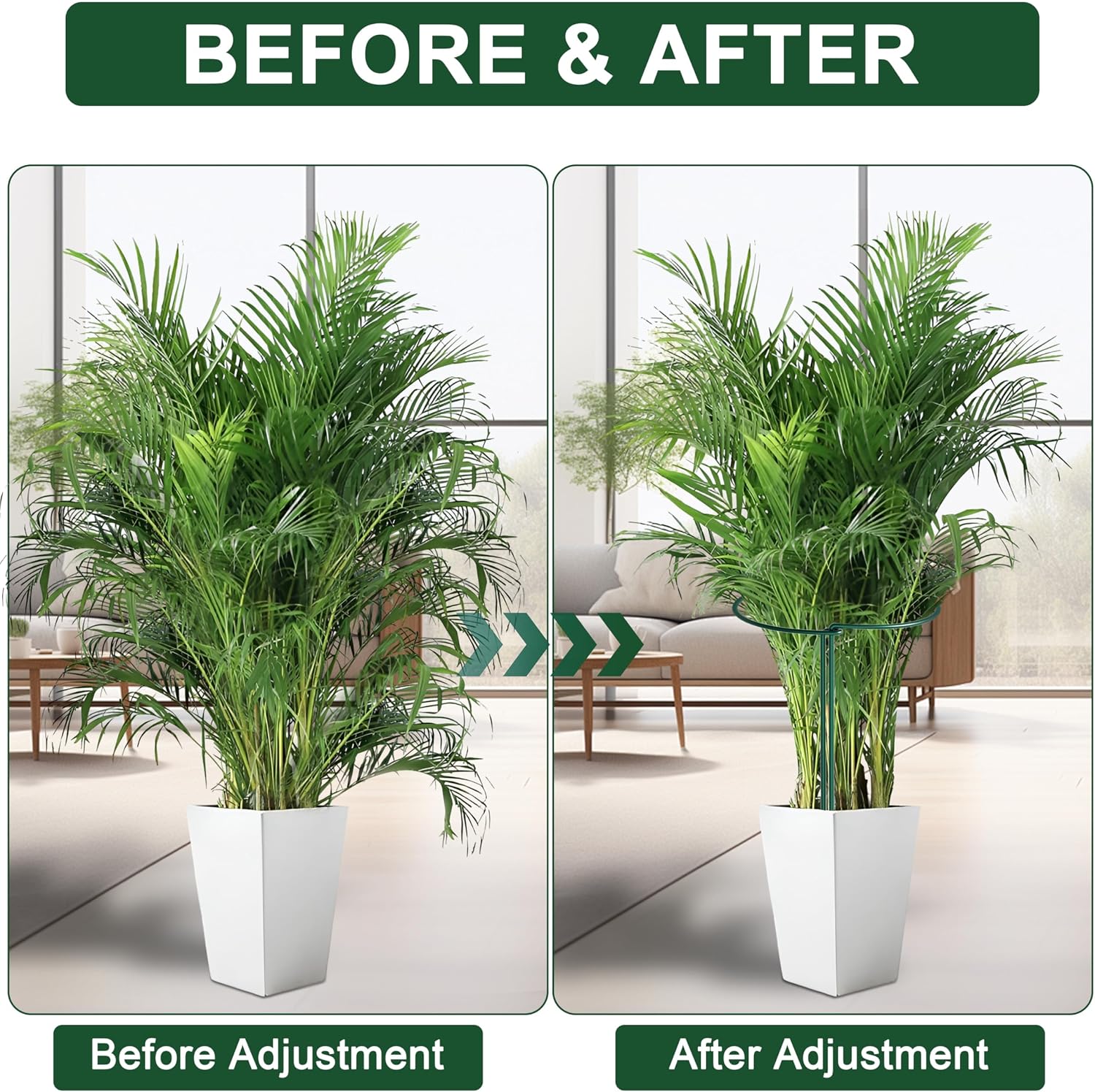 6 Pack Peony Cages and Supports, 10" (W) x 24"(H) Plant Support, Rust-Proof Metal Plant Support Stakes for