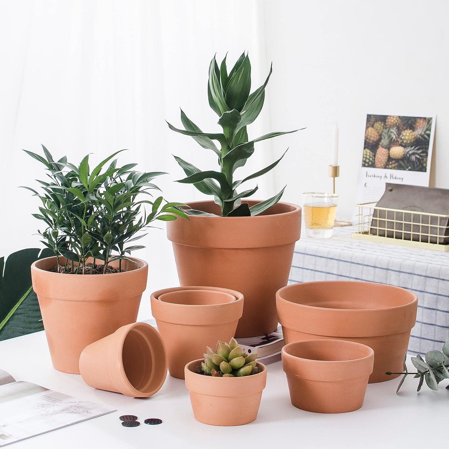 OLEEP Clay Pots - 10 Pack (5.5 inch) Large Terra Cotta Plant Pot with Drainage Hole,Garden Pots, Clay Planters Pot