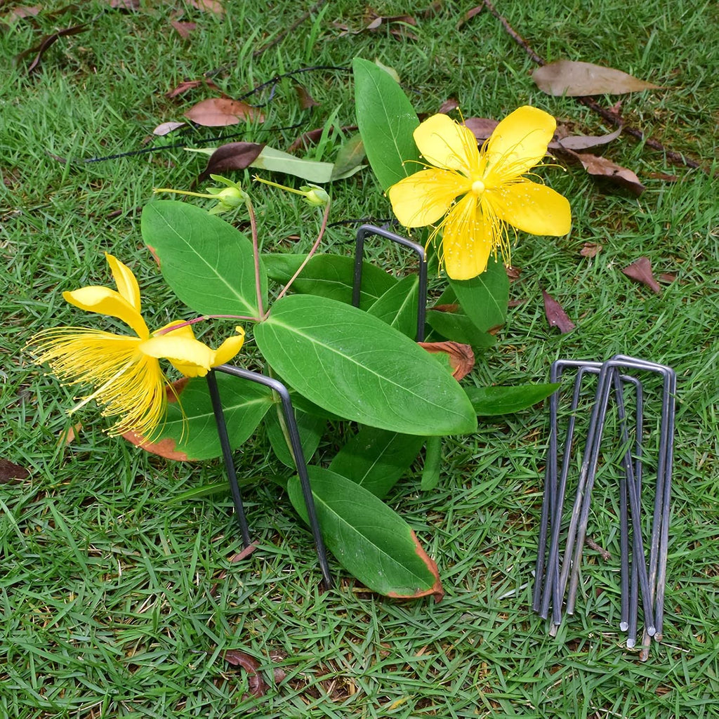 MySit 6" Garden Staples Landscape Stakes Ground Pins 100 Pack | Lawn Staples Weed Fabric Staple, Heavy Duty