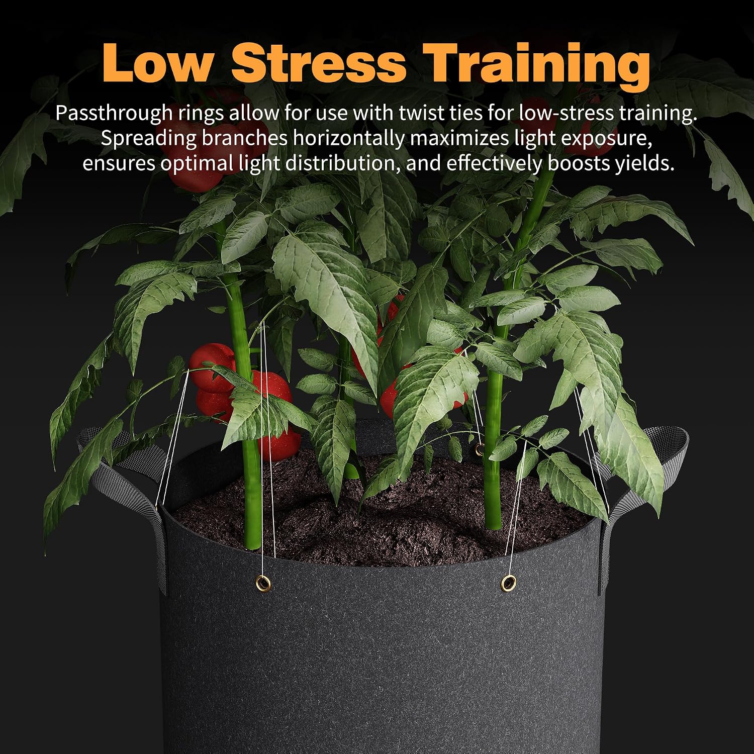 Patigrow Self-Watering Grow Bags, 5-Pack 5 Gallon 420G Thick Nonwoven Fabric Pots with Reinforced Handles and