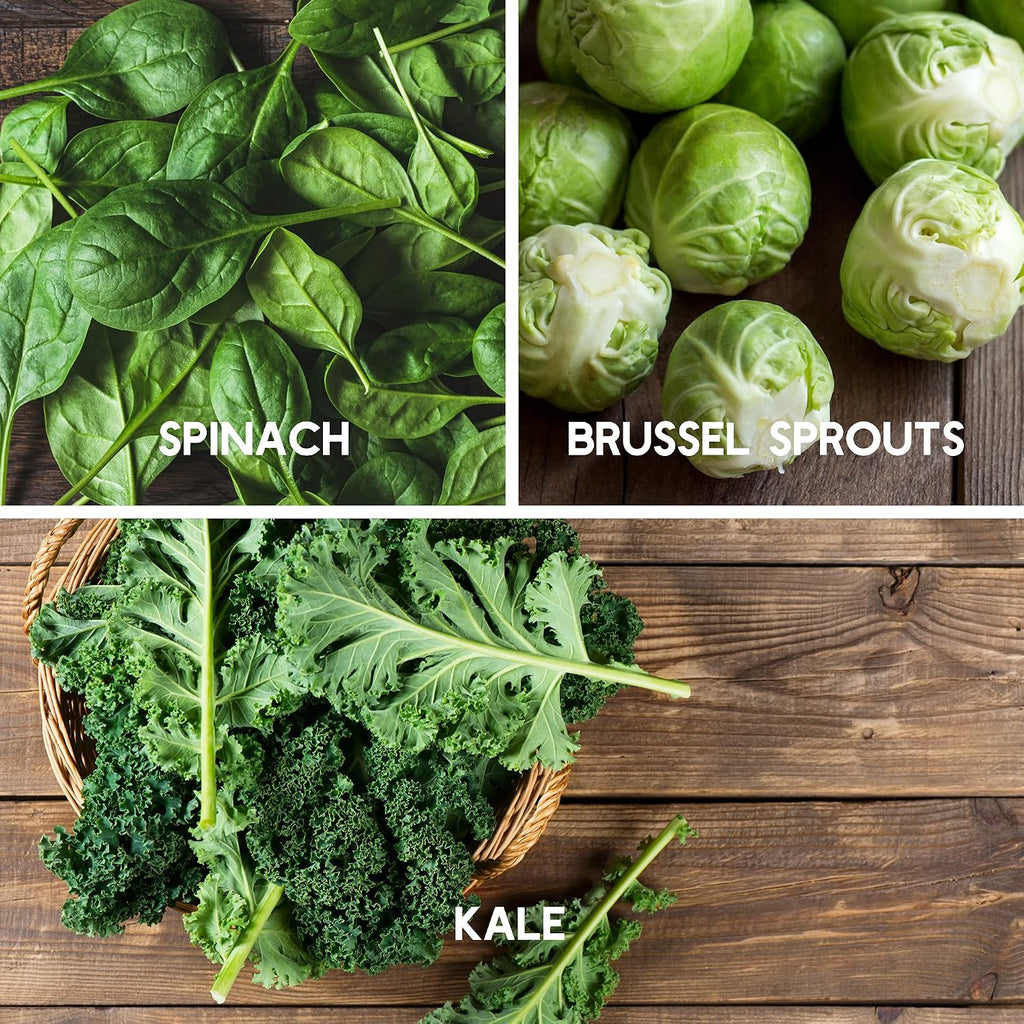 Mountain Valley Seed Co Fall Garden Heirloom Vegetable Seed ~3,800+ Seeds | 7 Varieties of Seeds to Sow in Fall Months