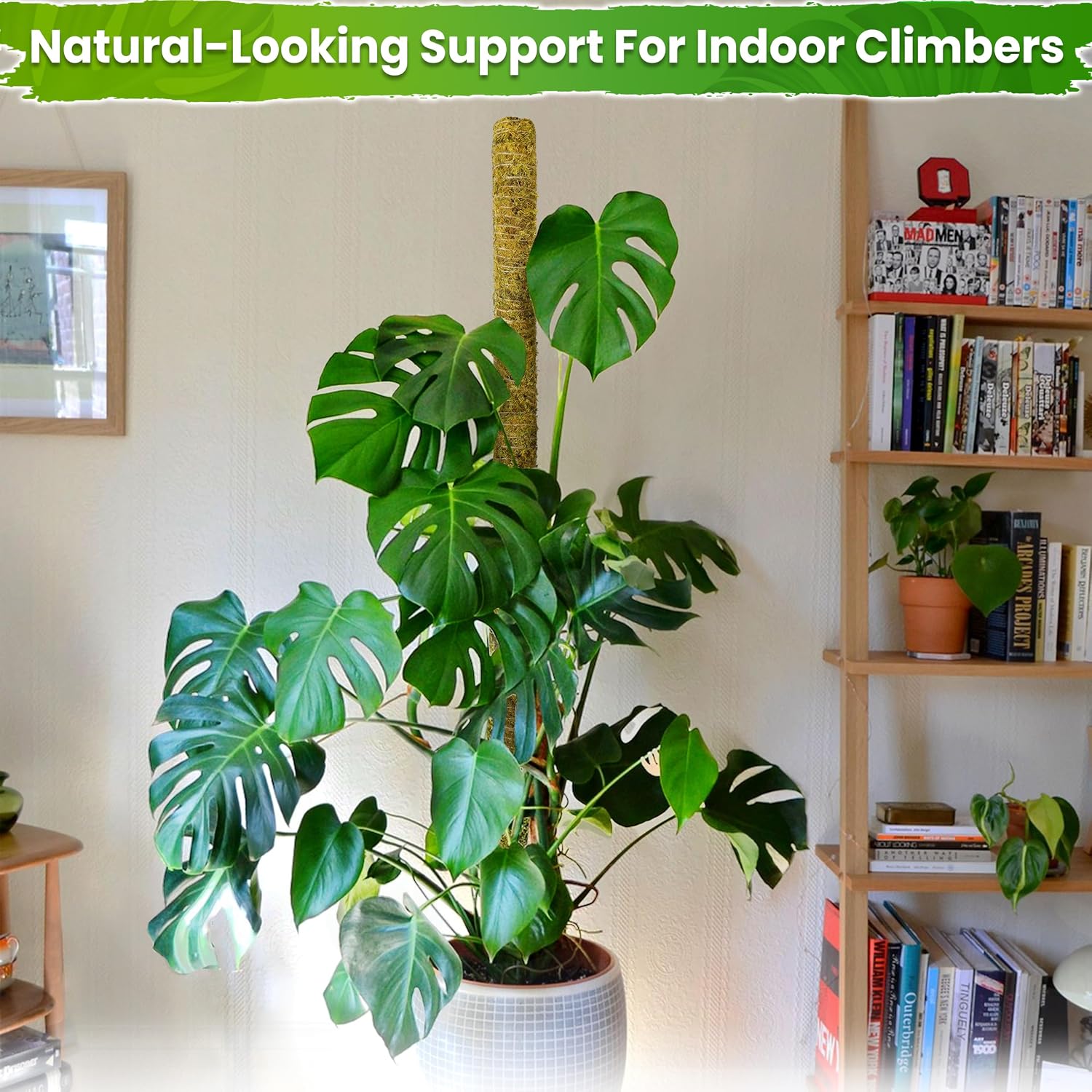 59" Natural Large Moss Pole for Big & Mature Plants, (1pc., 59'') | Forest Moss Surface, Monstera Plant Support, Rigid