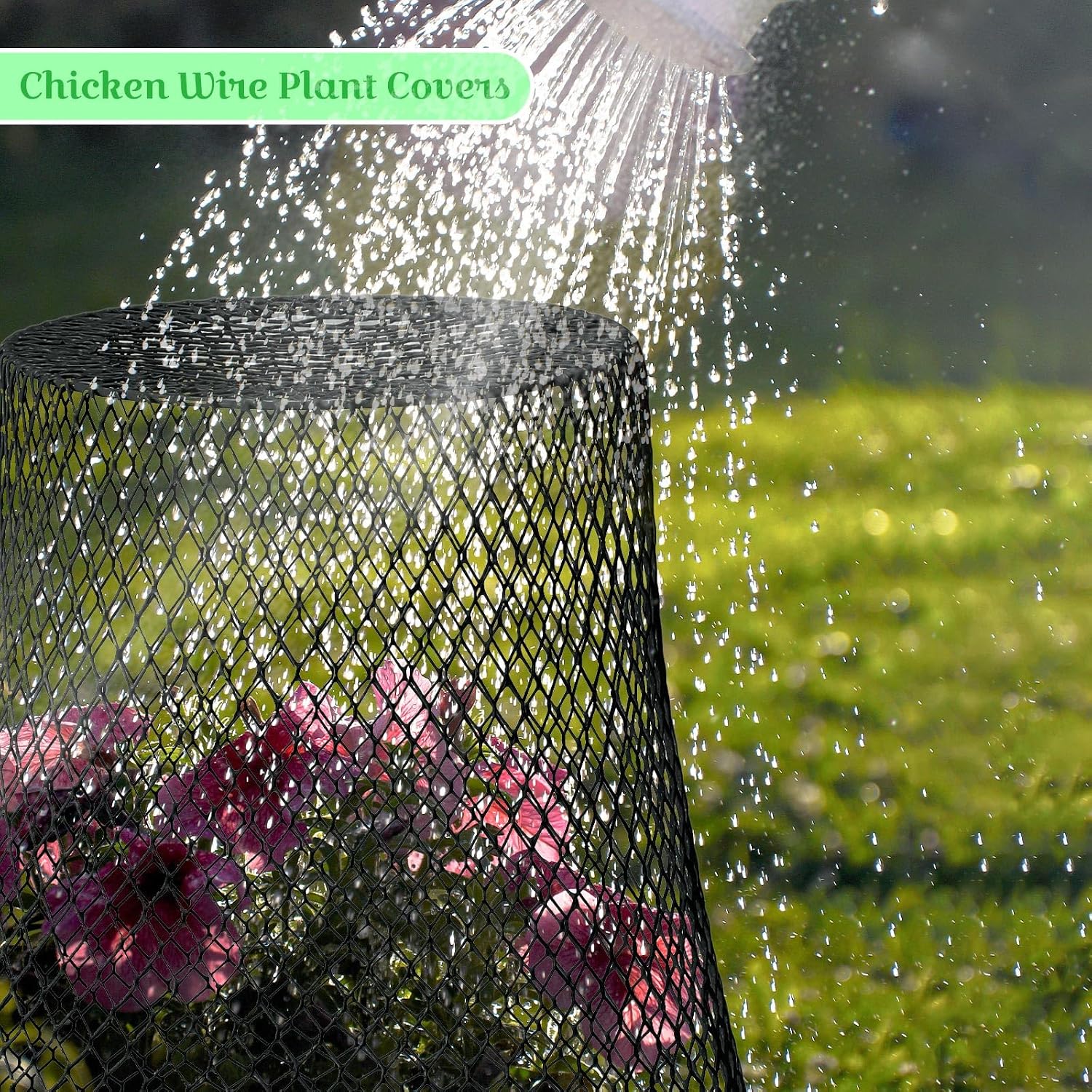 Therwen 15 Pcs Large Plant Wire Cloche 11 x 12 Inch Metal Garden Cloche with Garden Stakes Plant Protector from Animals