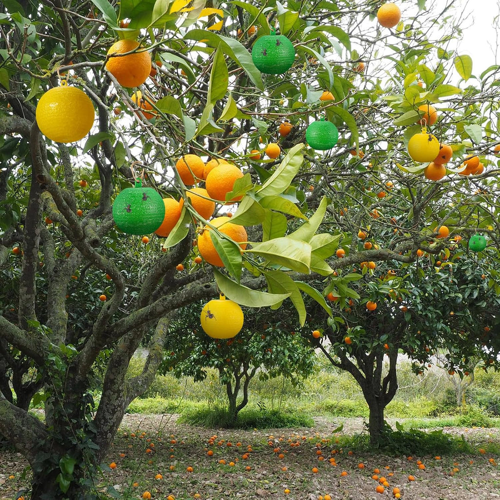 Qualirey 20 Pcs Sticky Fruit Fly Trap Ball Adhesive Fly Catching Ball Sticky Glue Fly Gnat Wasp Hornet Mosquito Bugs