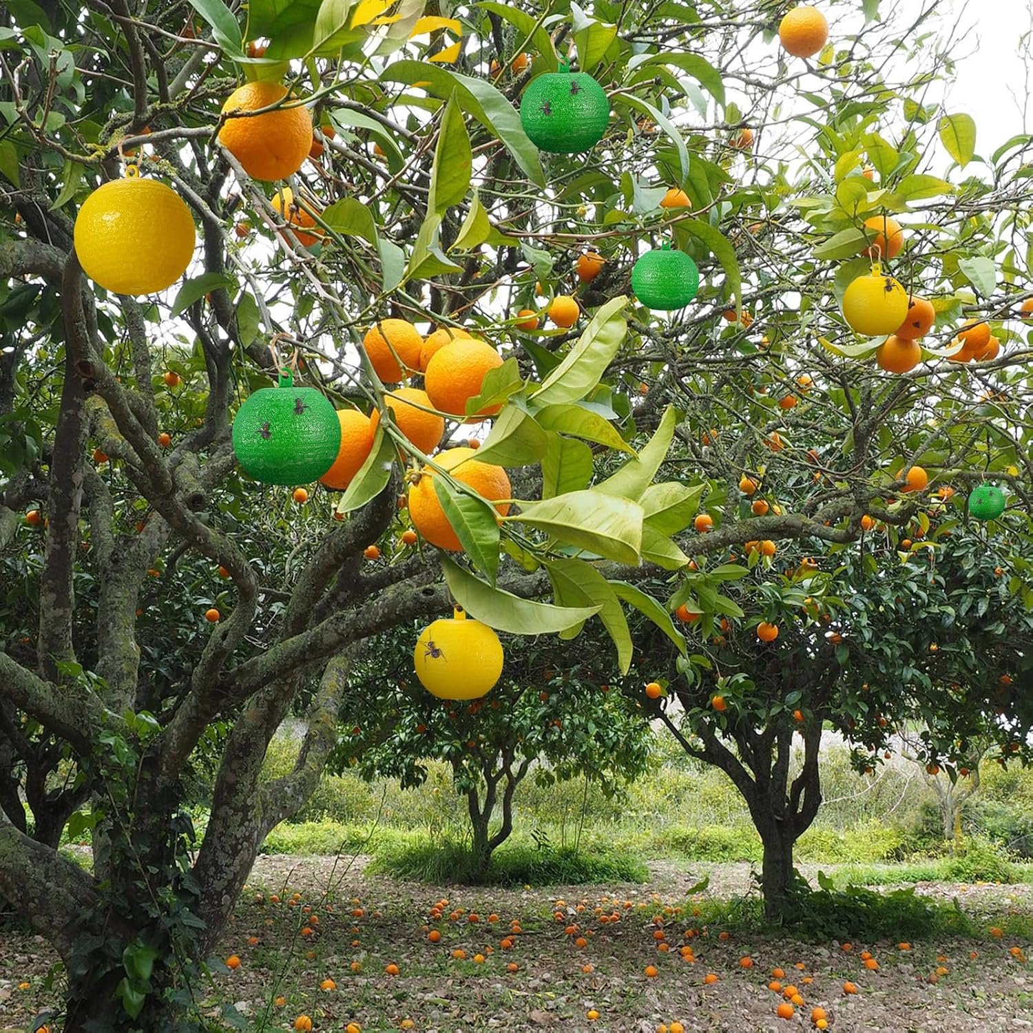 Qualirey 20 Pcs Sticky Fruit Fly Trap Ball Adhesive Fly Catching Ball Sticky Glue Fly Gnat Wasp Hornet Mosquito Bugs