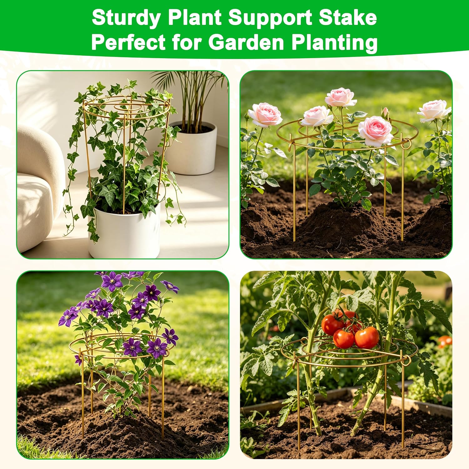 6 Pack Peony Cages and Supports, 12'' x 20'' Metal Removable Grid Flower Support Cage Set, 4-Leg Outdoor Plant Stake