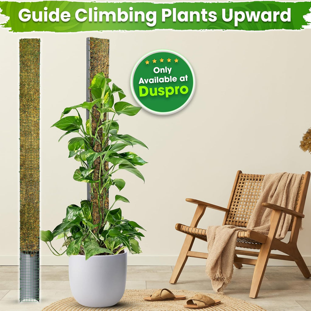 59" Large D-Shape Moss Pole for Big Climbing Plants, (1pc, 59'') | Rigid Support for Mature Plants with Heavy Stems