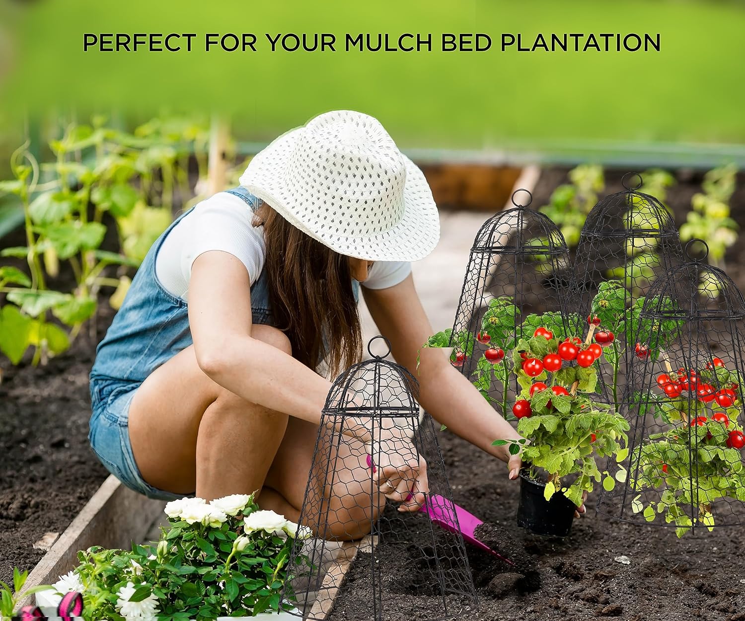Garden Cloches for Plant Protector from Animals Chicken Wire Cages Outdoor | 12" x 20" Pack of 6 Extra Large Plant