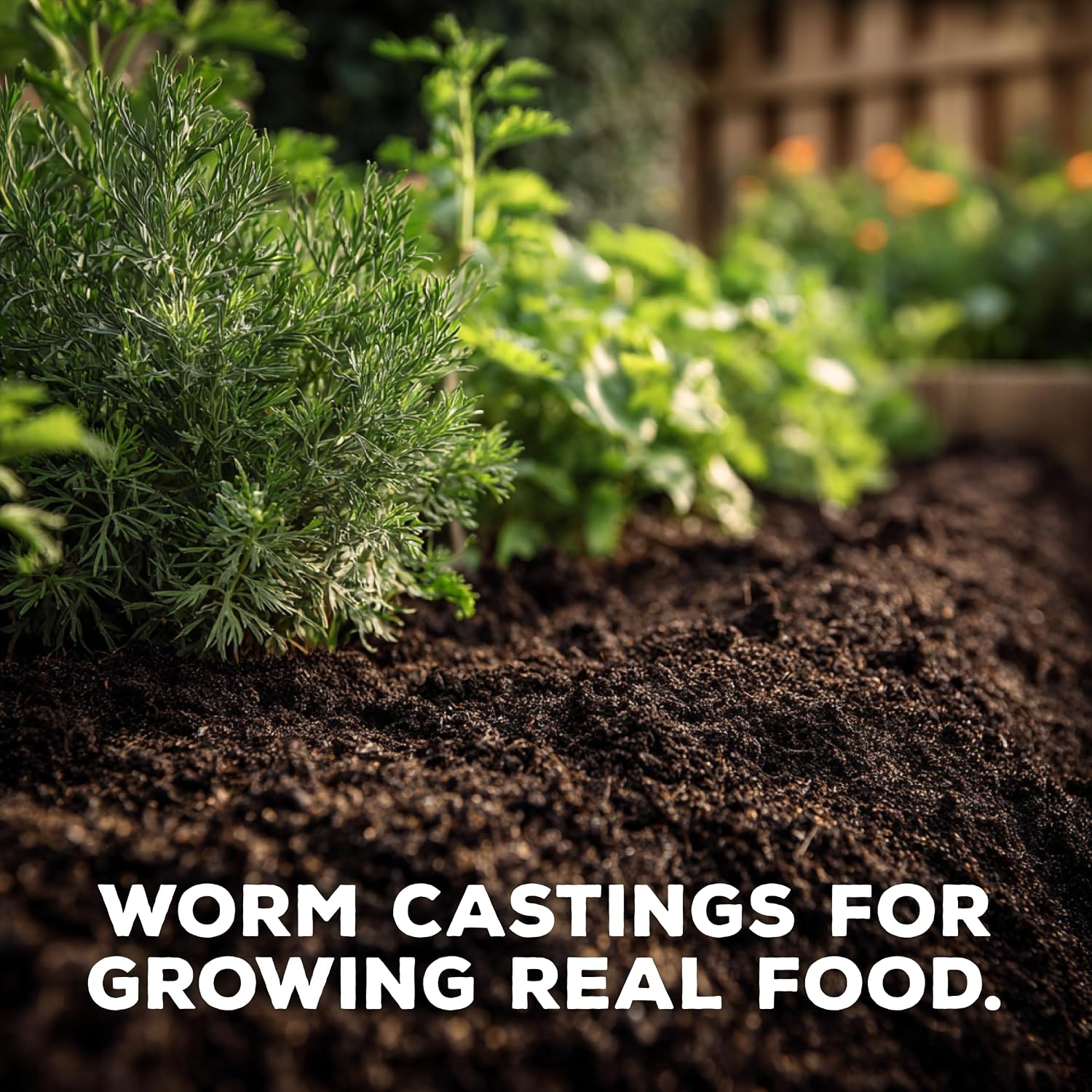 Soil Seed & Water Mikey’s Worm Poop – Organic Dairy Vermicompost Fertilizer Worm Castings for Gardens, Potted Plants &