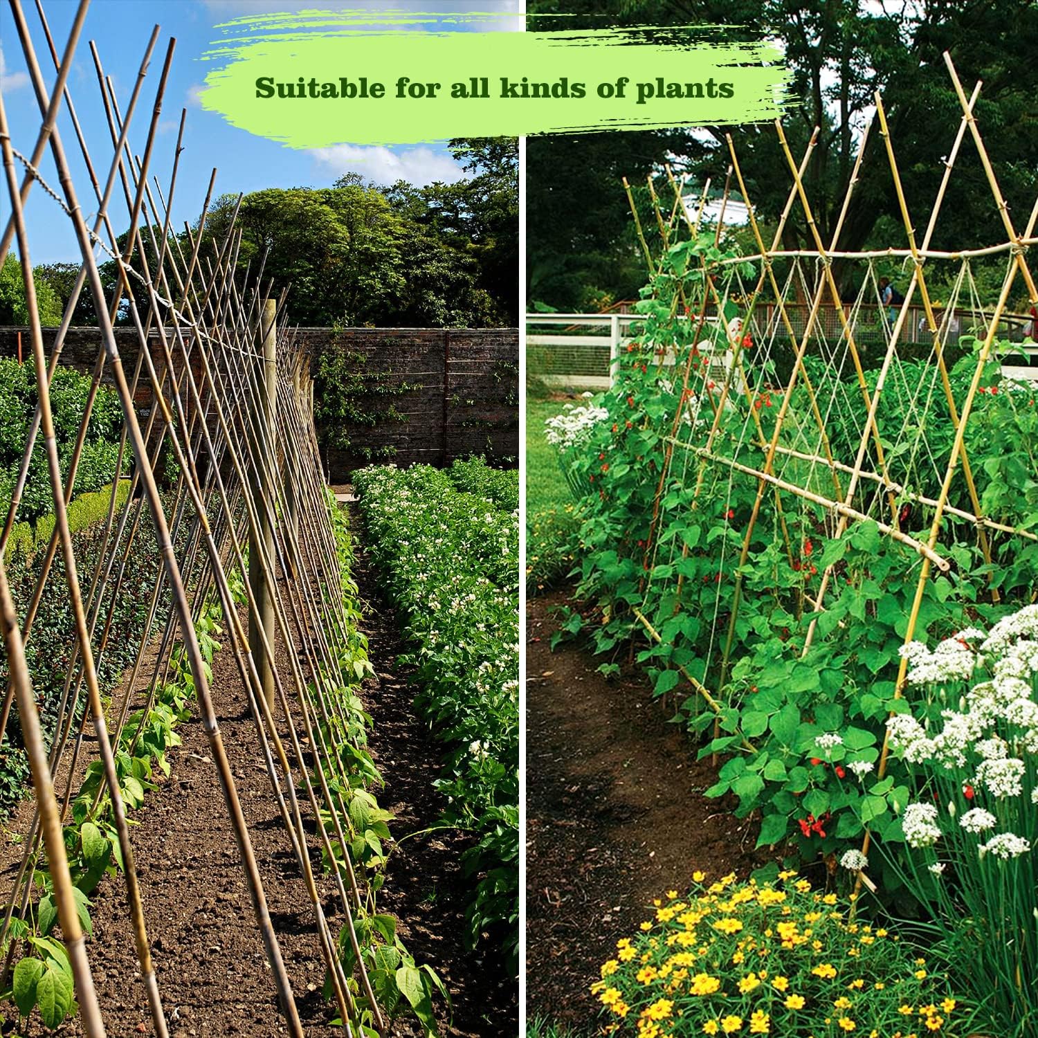 Jollybower 25pcs 1/2" D Thicker Heavy Duty Bamboo Stakes, 4FT Plant Stakes, Natural Garden Stakes for Tomato, Bean