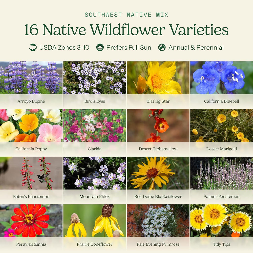 Eden Brothers Native Southwest Wildflower Seed Mix, 1/4lb,16 Desert Wild Flower Seed Varieties, 100% Pure Seed No