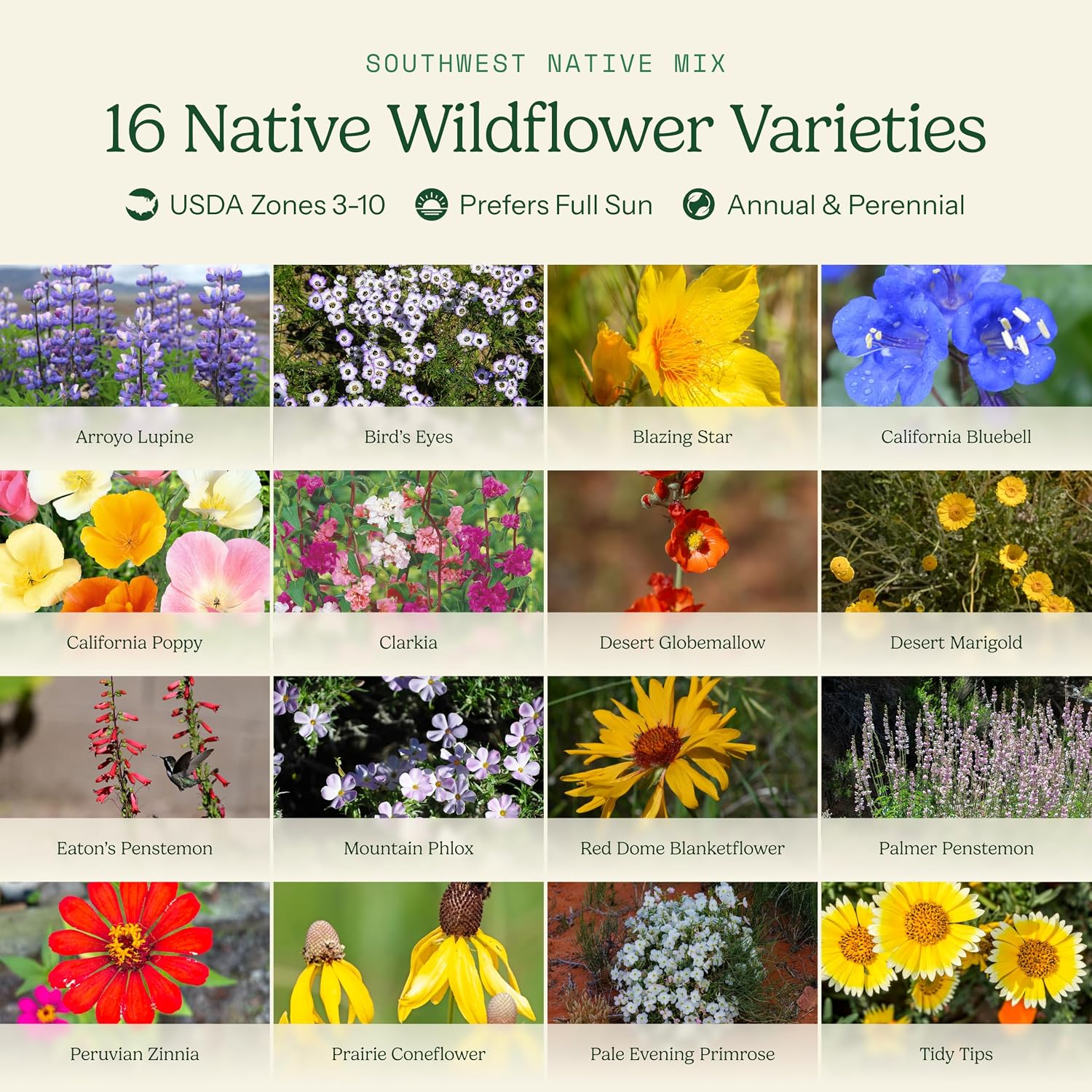 Eden Brothers Native Southwest Wildflower Seed Mix, 1/4lb,16 Desert Wild Flower Seed Varieties, 100% Pure Seed No