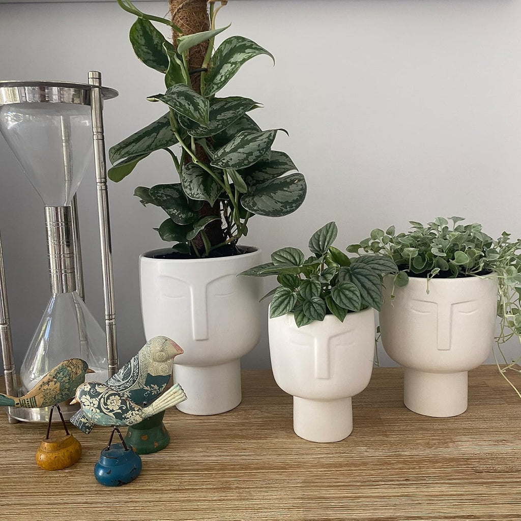 Planters for Indoor Plants - Tall 7 Inch Ceramic Self Watering Pots Matte White Plant Pot with Drainage & Inner Pot
