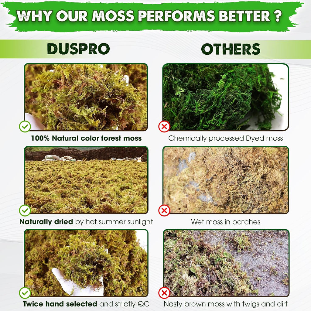 2.1 LBS Real Dried Forest Moss for Potted Plants, Plant Propagation | Hand-Picked & Clean, Easy to Rehydrate, Balanced