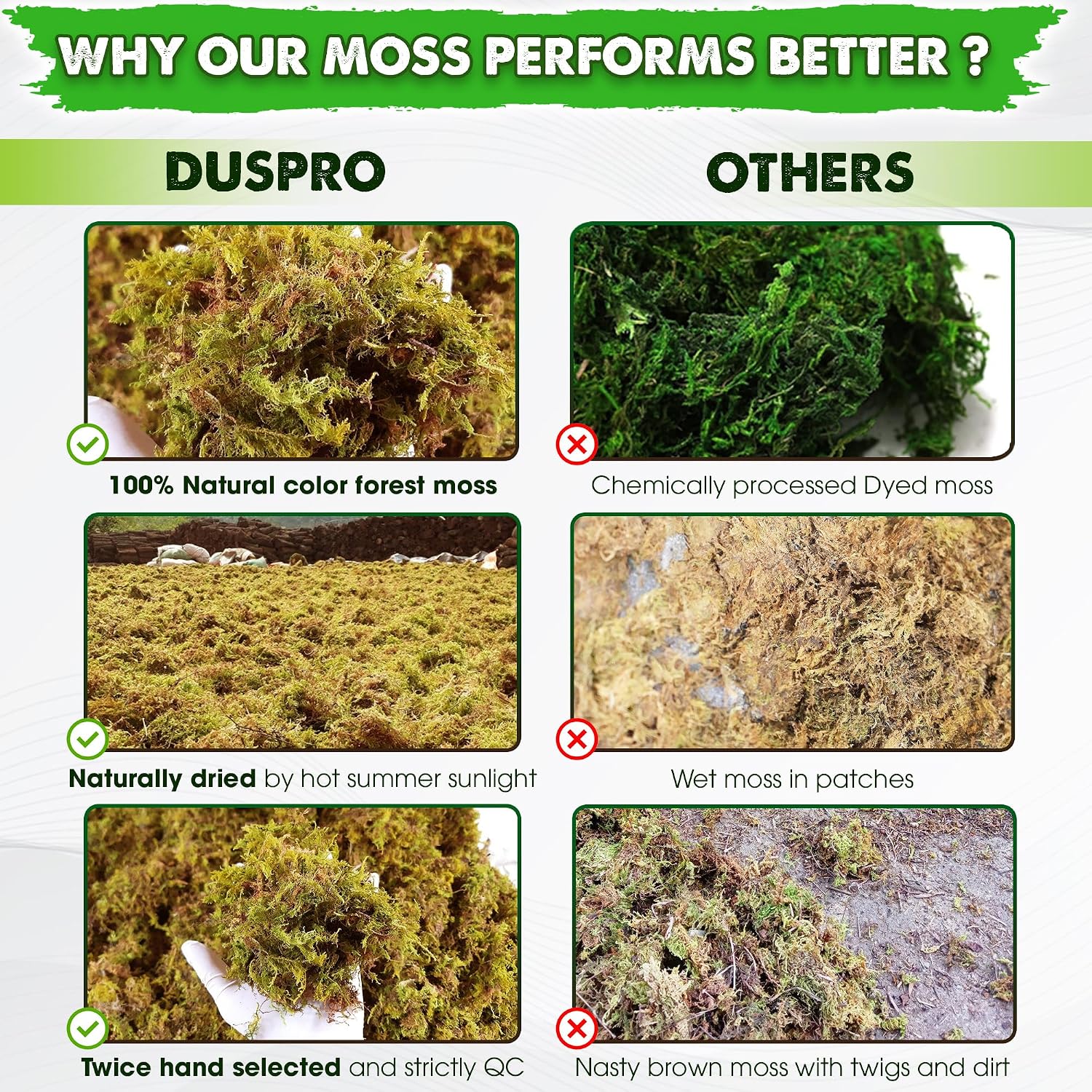 2.1 LBS Real Dried Forest Moss for Potted Plants, Plant Propagation | Hand-Picked & Clean, Easy to Rehydrate, Balanced
