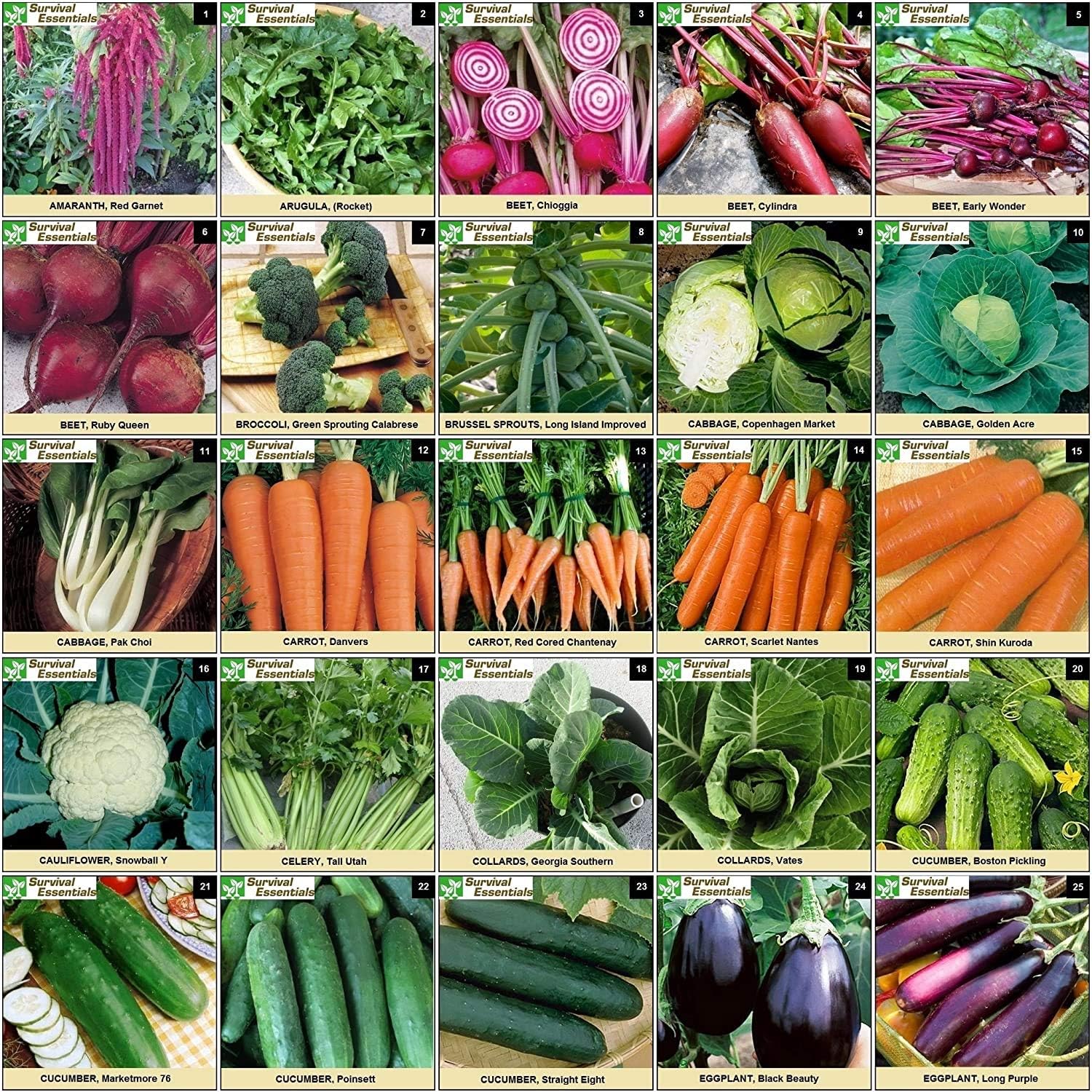 Garden Heirloom Seed Vault, 100 Variety, Over 17,500 Vegetable, Fruit, and Herbs Seeds, Non-GMO, Non-Hybrid, Plus Free