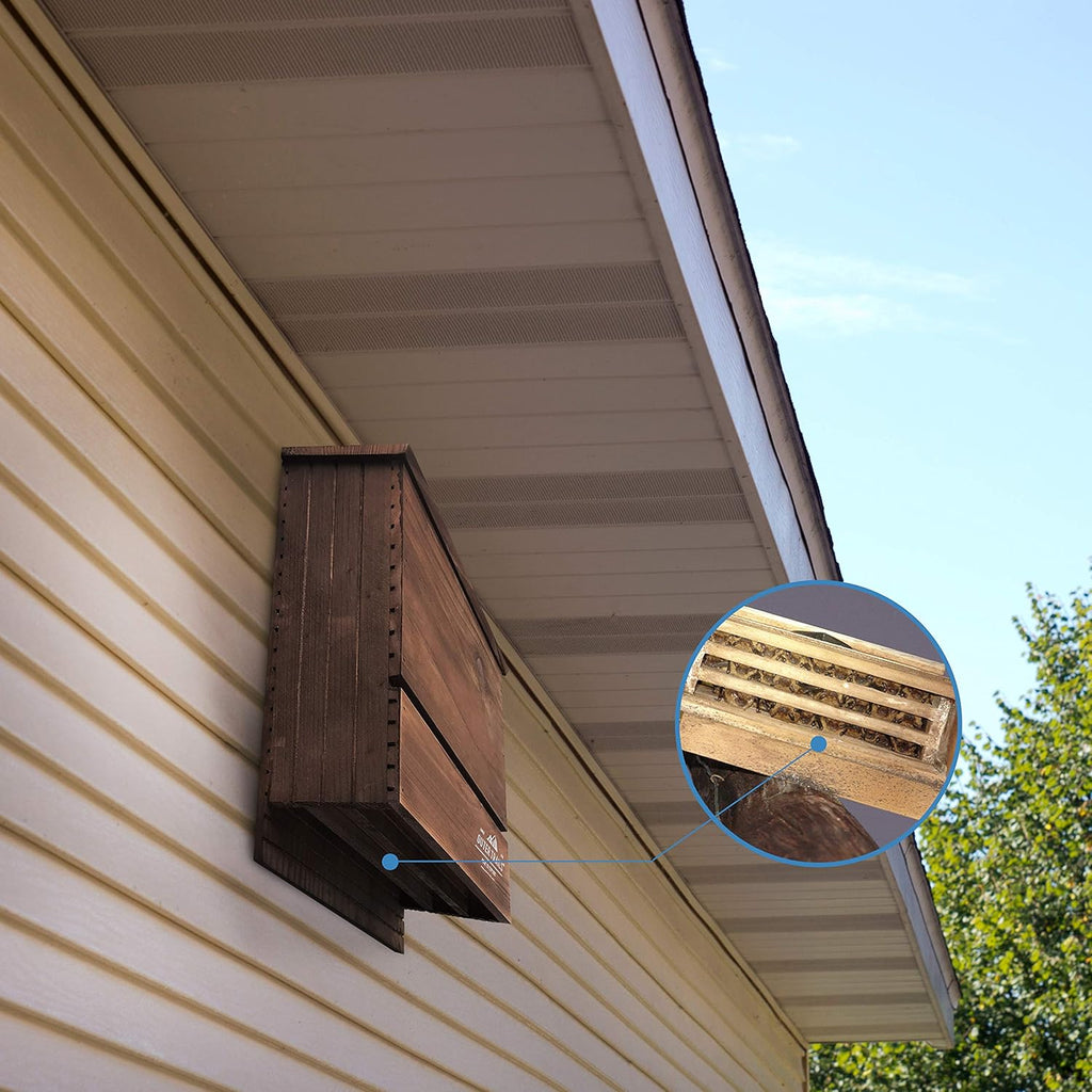 Bat House for Outdoors, Japanese Cedar, 3 Chamber, Brown | Premium Japanese cedar bat house in brown; three grooved