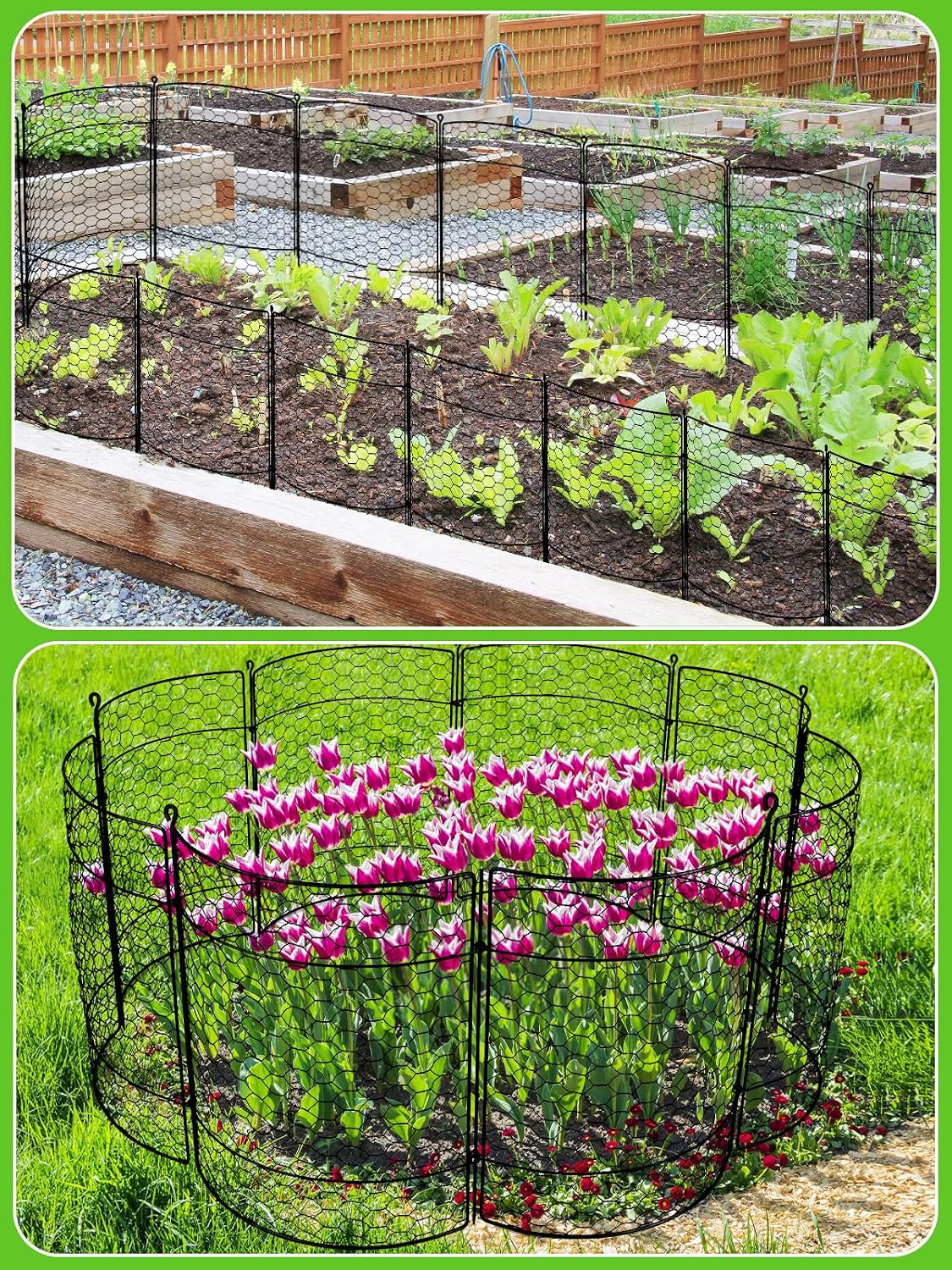 Kalolary 10 Packs Plant Protectors from Animal 20" x 14" Wire Plant Cage | Metal Garden Plant Protection Chicken Wire