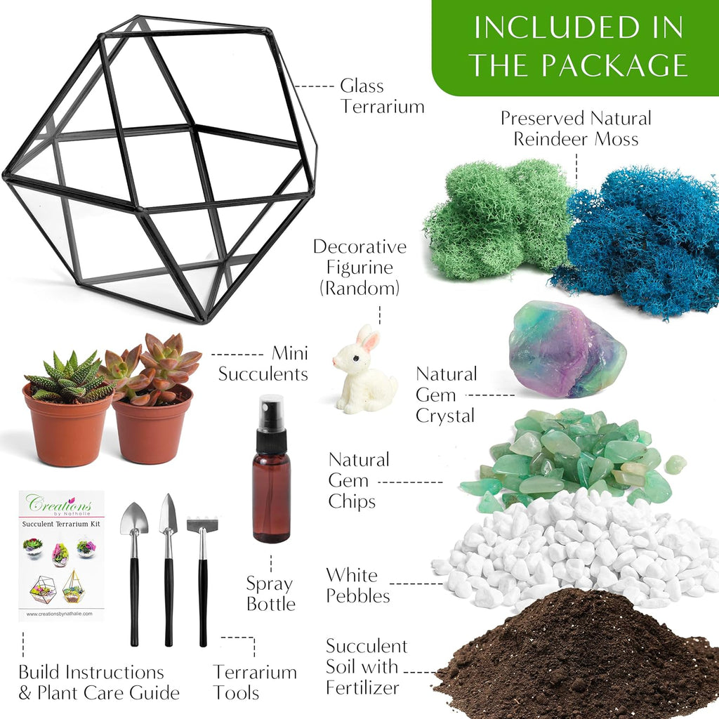 Creations by Nathalie DIY Geometric Terrarium Kit with Live Plant and Moss | DIY geometric glass terrarium kit with