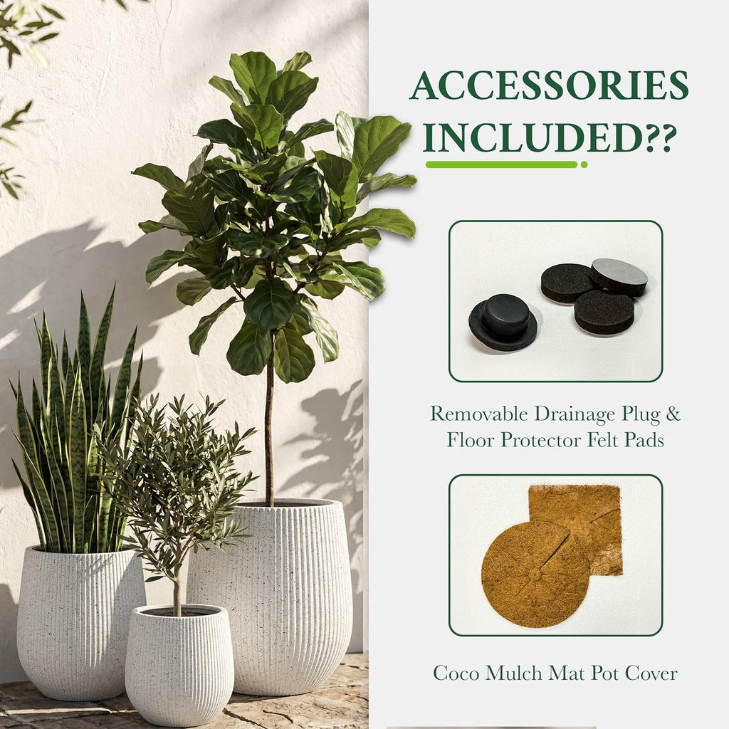 DTY Signature Mount Wilson Modern Indoor Outdoor Fiberstone Tapered Planter, Lightweight, Weather Resistant Garden Pot