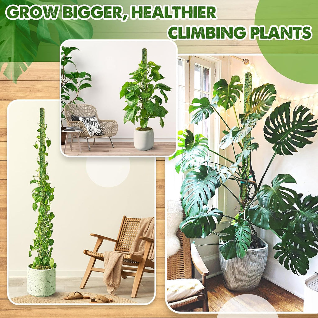 4 Pack 22" Green Stackable Mesh Moss Pole for Plants | Extendable Up to 71", Natural Forest Moss Pole Monstera Plant