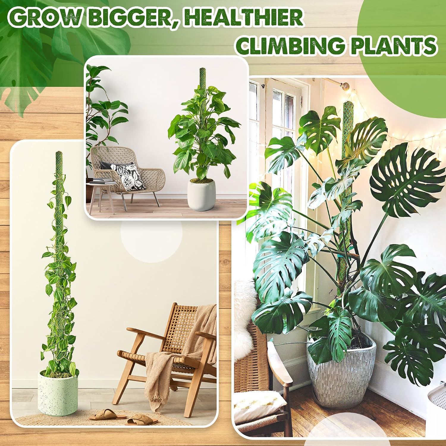 4 Pack 22" Green Stackable Mesh Moss Pole for Plants | Extendable Up to 71", Natural Forest Moss Pole Monstera Plant