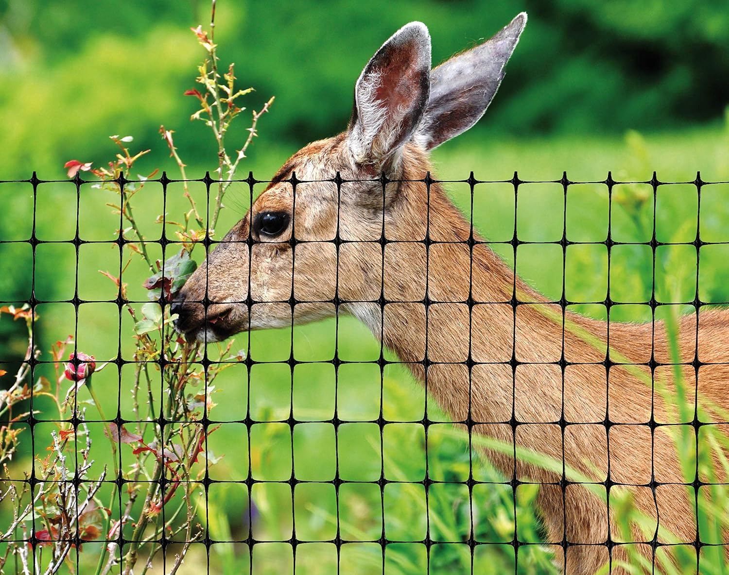 Tenax Deer Netting - Heavy Duty, 7ft Netting for Gardens - 7 Ft x 100 Ft - Black Polypropylene