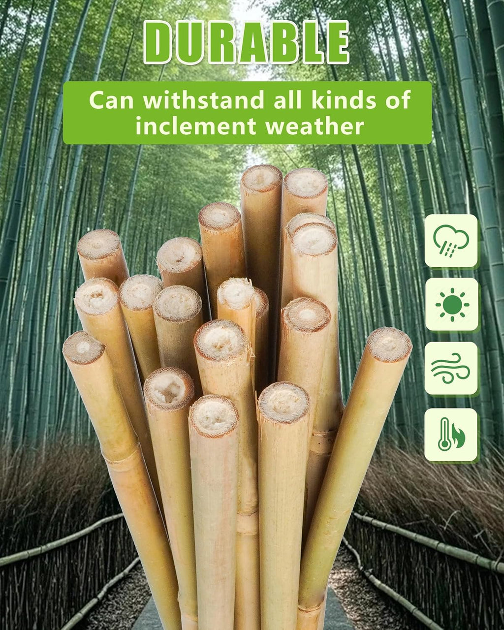 Natural Bamboo Plant Stake, （3FT 30Pcs） Sturdy Bamboo Poles, Durable Plant Bamboo Stake, Garden Climbing Plant Bracket.