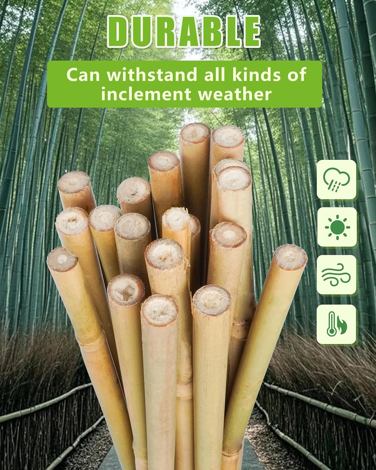 Natural Bamboo Plant Stake, （3FT 30Pcs） Sturdy Bamboo Poles, Durable Plant Bamboo Stake, Garden Climbing Plant Bracket.