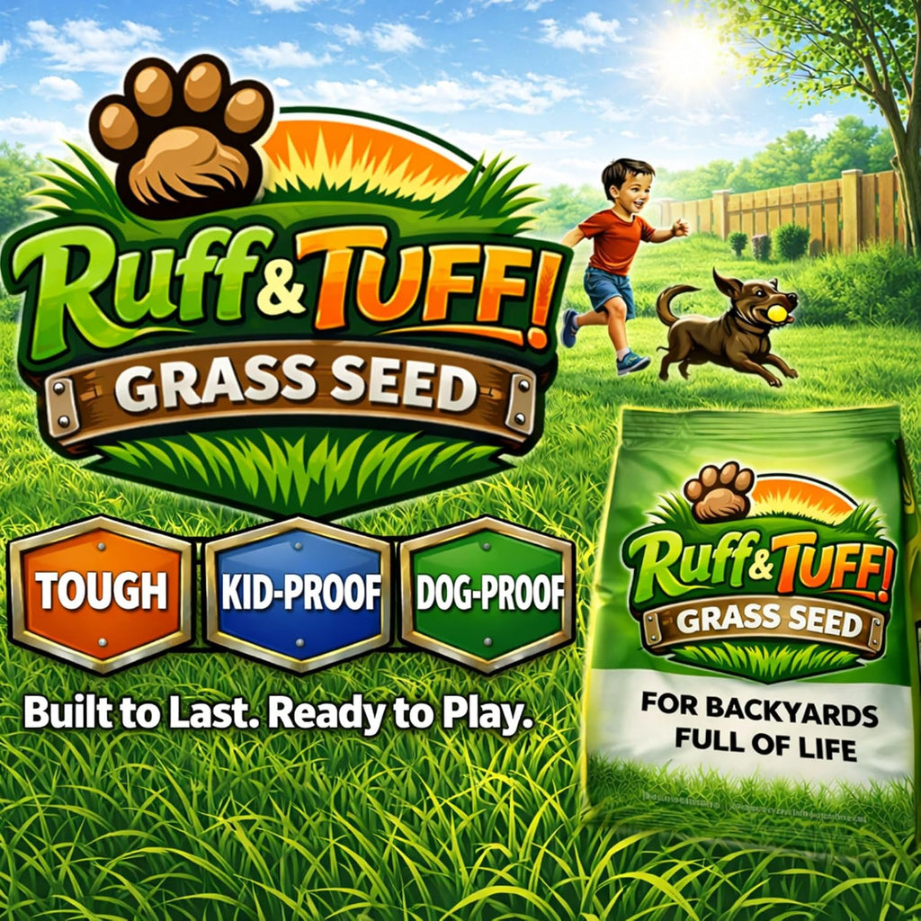 Ruff and Tuff Mow Less Fescue Grass Seed, 1 Lb, Low Maintenance, Family Friendly, Drought Tolerant, Covers up to 500 sq