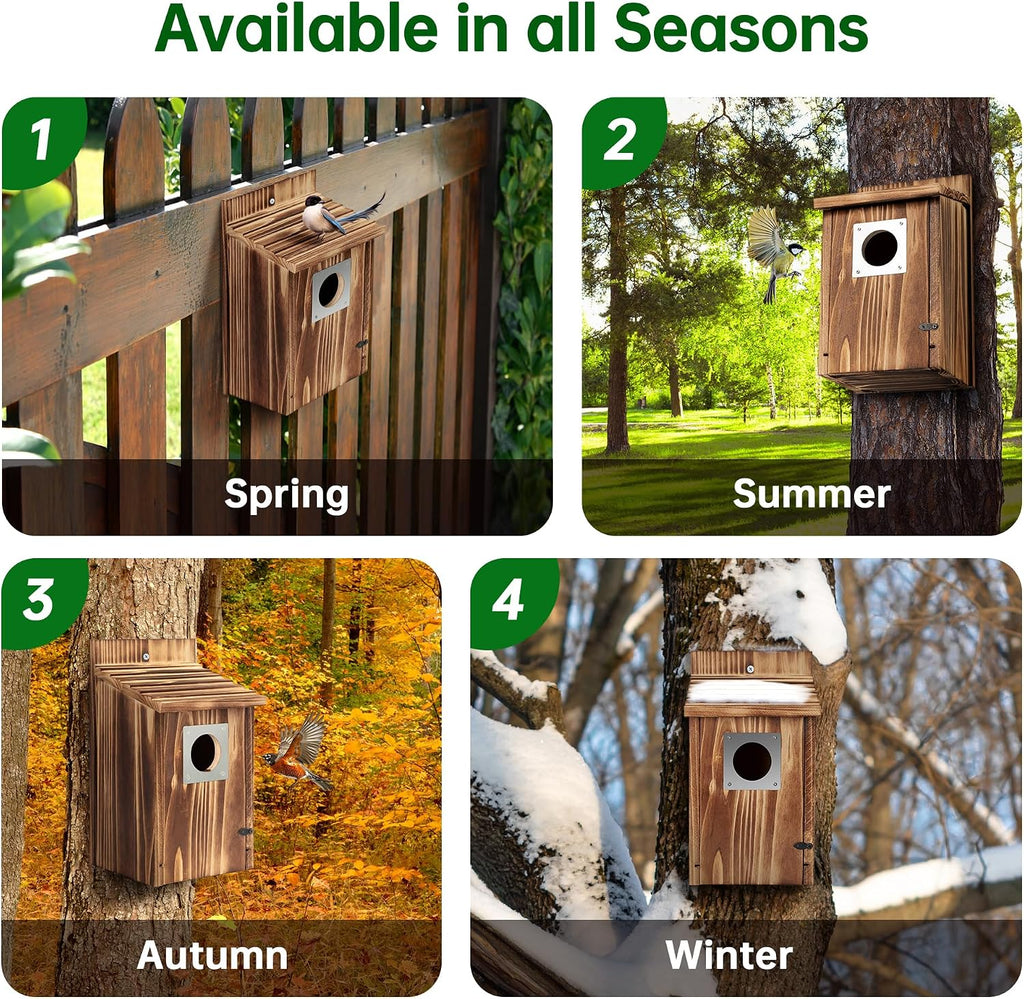 2 Pack Bird Houses for Outside with Metal Predator Guard for Bluebird Wren Swallow Finch, Carbonized Wooden Nesting