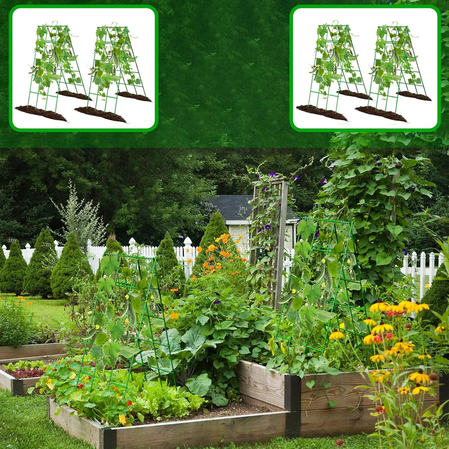 No Assembly Required Cucumber Trellis,2 Pack Trellis for Cucumbers,Outdoor Raised Bed Climbing Plant Support,A-Frame