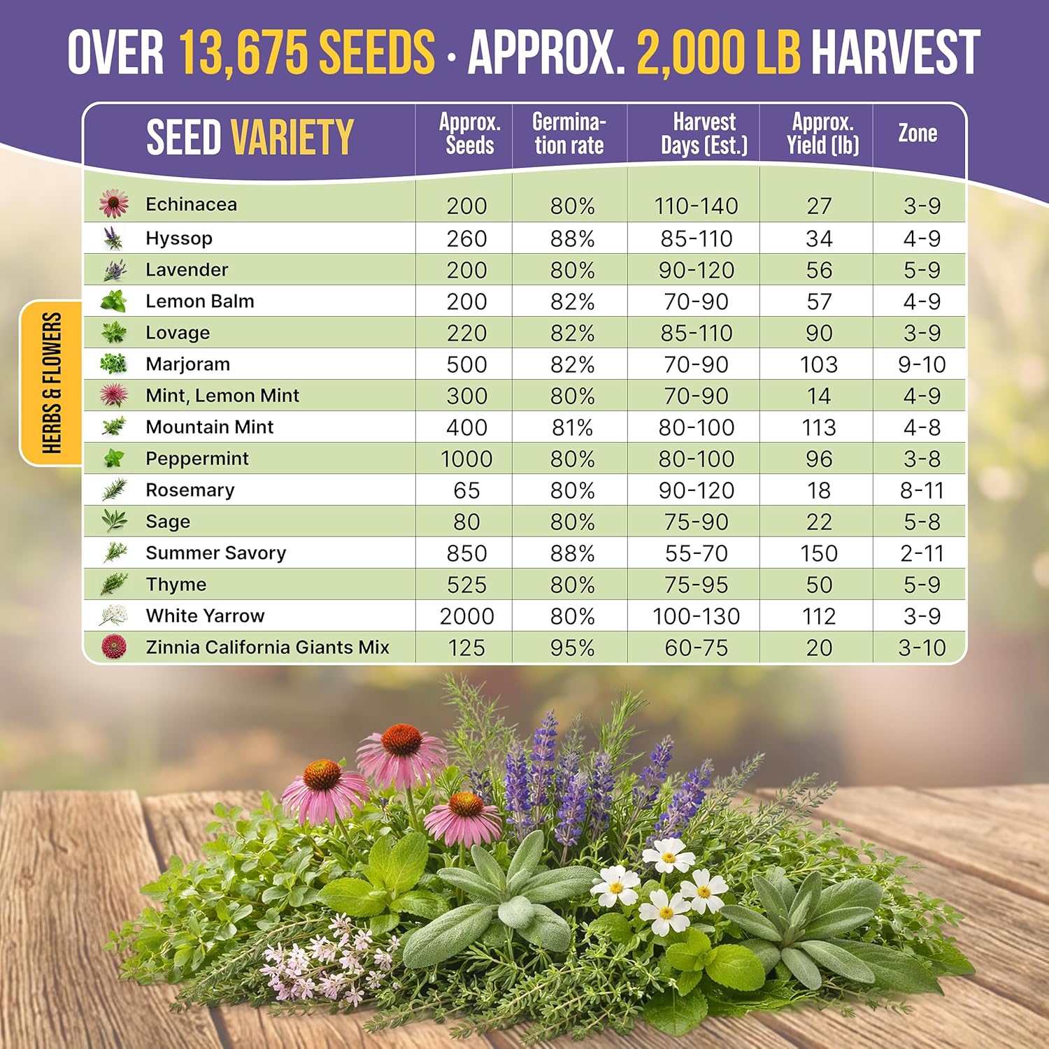 30 Medicinal Tea Herb & Flower Seeds Variety Pack - 13600+ Non-GMO Heirloom Flower Seeds for Outdoor & Indoor Garden