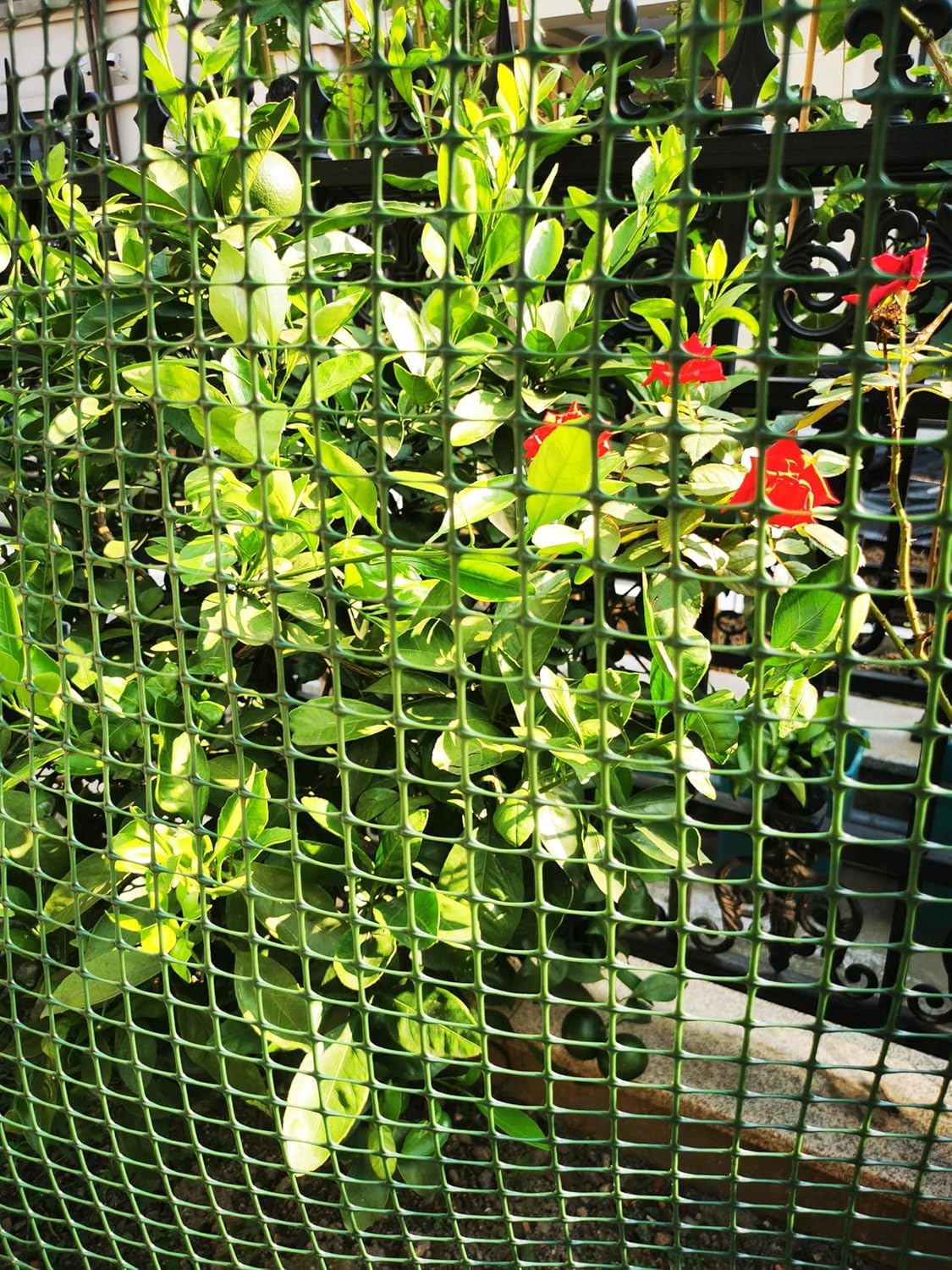 Green Plastic Garden Fence, Hardware Mesh, 40'' x 25' | Reusable HDPE Fence for Landscape, Tree Guards, Balcony, Deck &