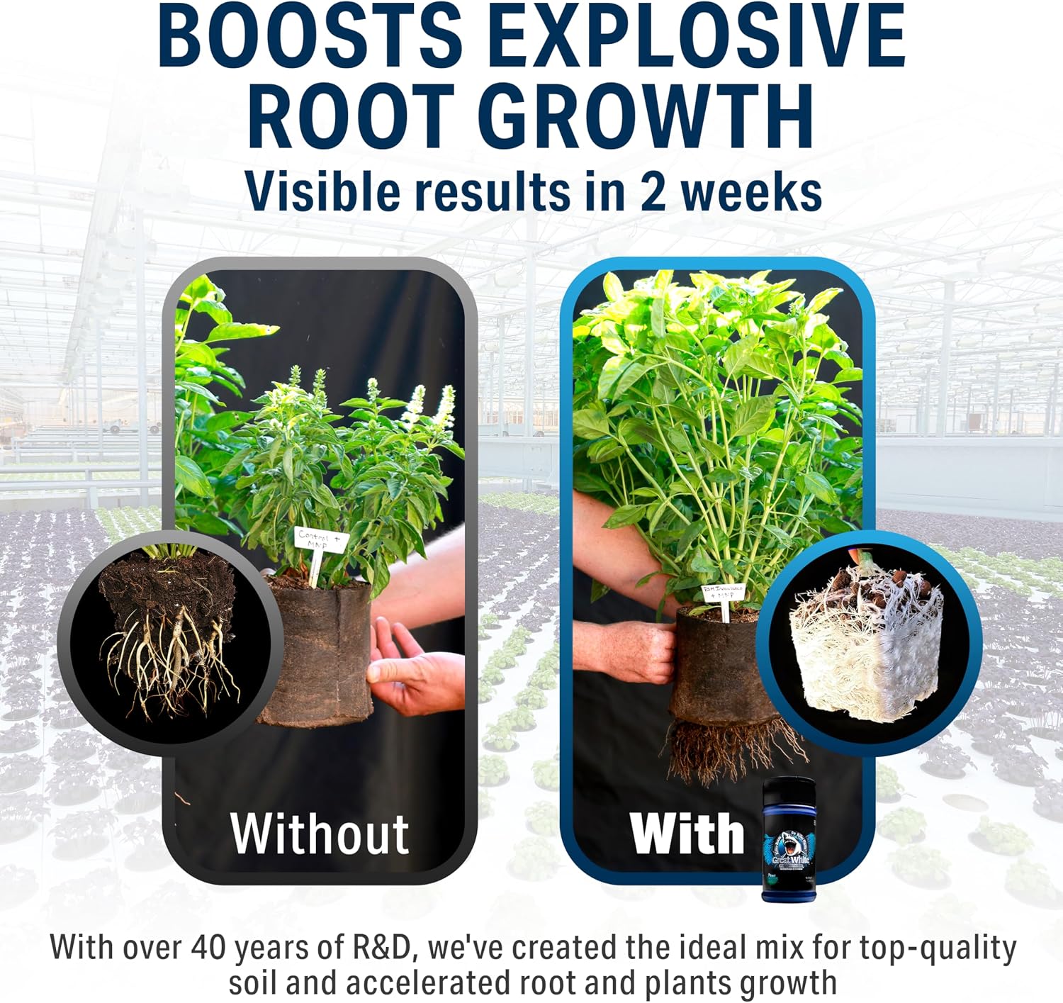 Great White Mycorrhizal Fungi 4 oz, Beneficial Bacteria for Plant Growth, Root Stimulator, Concentrated 3-in-1 Formula