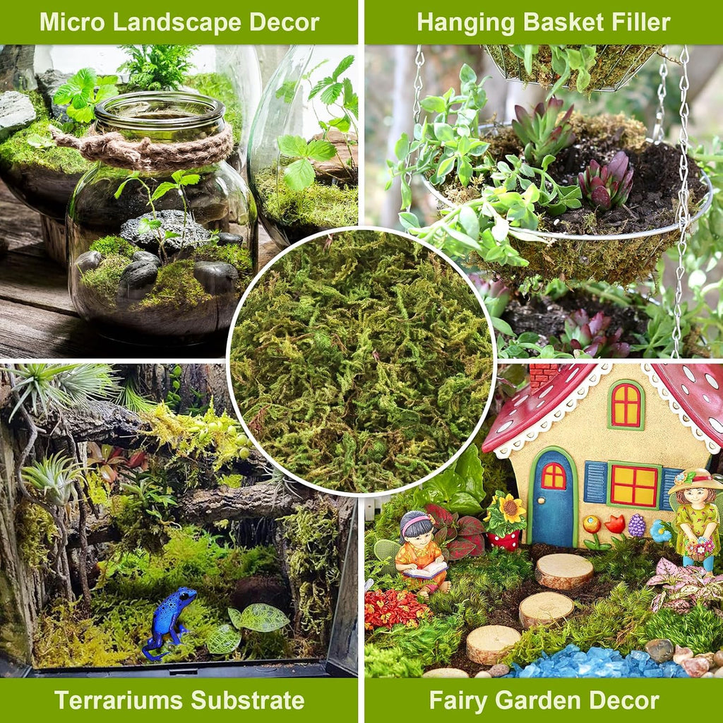 4.4LB Sphagnum Moss for Plants, 80QT Natural Long Fiber Orchid Moss | Drainage & Moisture Retention, Green Plant Moss