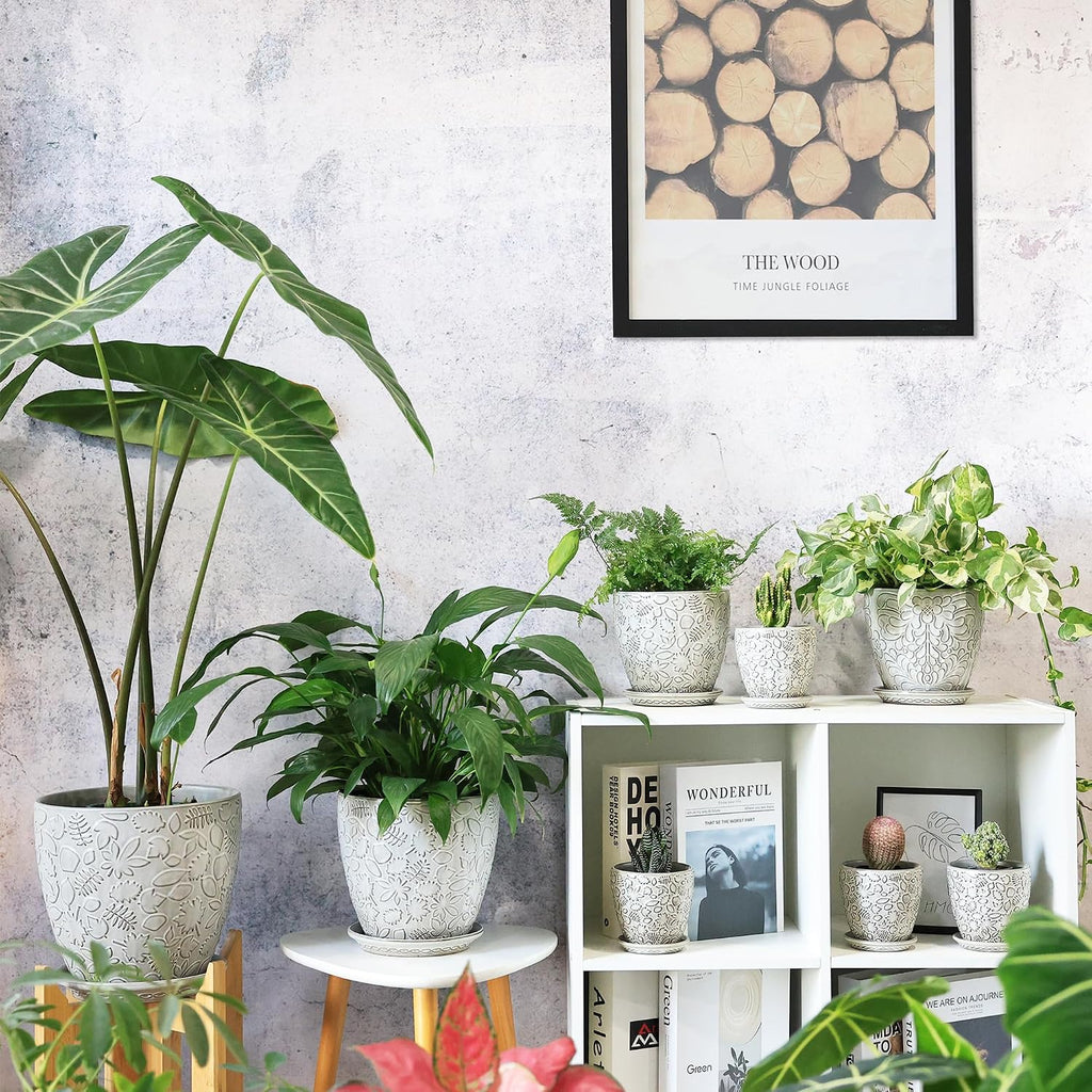 6 Inch Ceramic Planter Pots with Drainage Hole and Saucers for Indoor Plants, Garden Pots for Succulent, Orchid, and