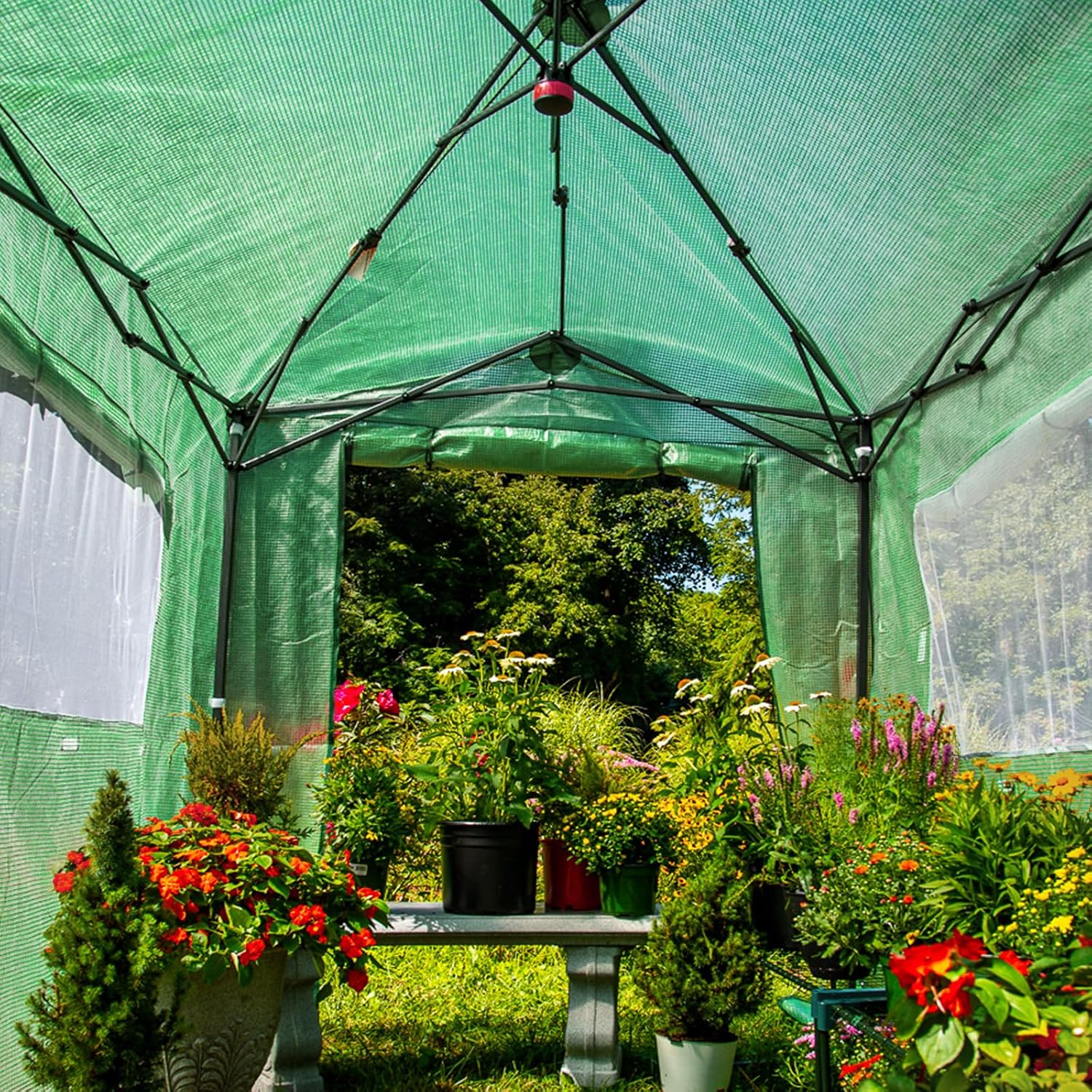 EAGLE PEAK 8x6 Easy Setup Pop Up Greenhouse, Clear/Green | Walk-In Greenhouses for Outdoors, Green House for Winter