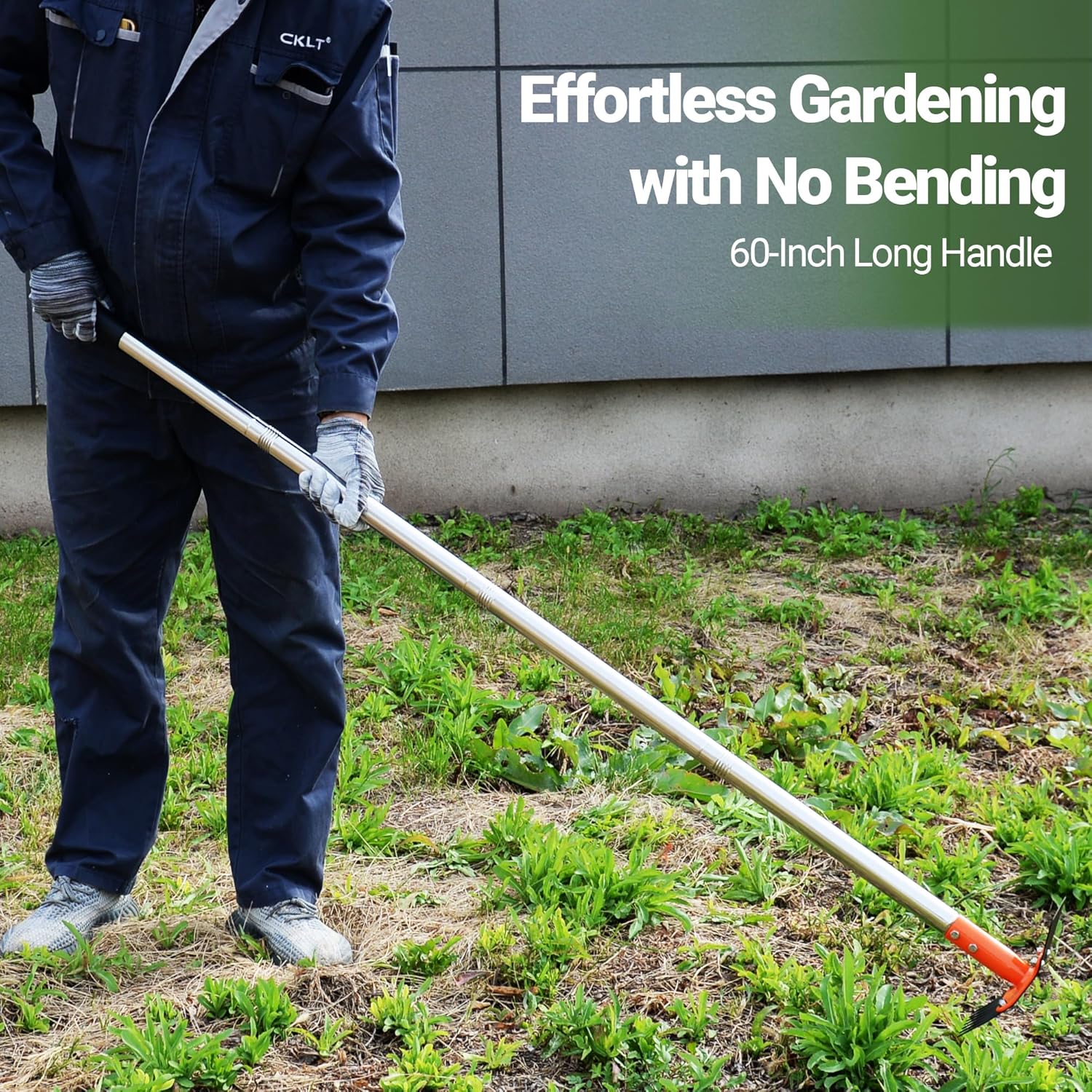 2-in-1 Garden Hoe and Weed Puller Rake 60 Inch Spring Steel Head | Adjustable Long Handle Weeding Tool Heavy Duty Sand