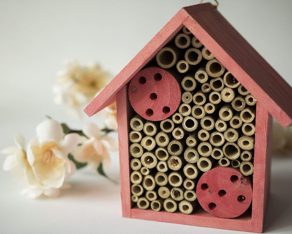 Cestari Mason Bee House Bamboo Tube Solitary Bee Hotel – 75 FSC‑Wood & Bamboo Tubes, 8 × 7.5 × 5 in, Rose Pink