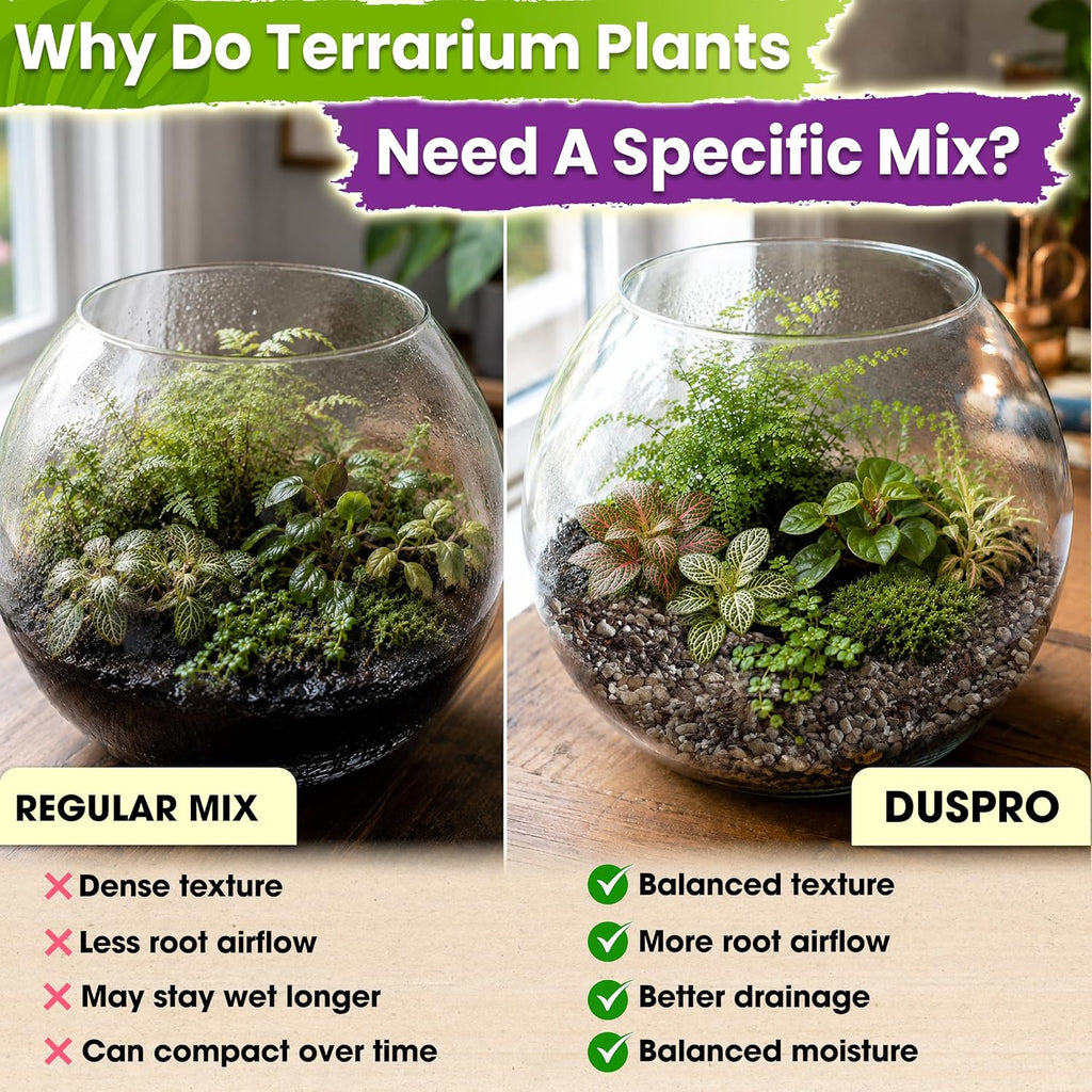 6-in-1 Terrarium Soil Mix, Pre-Mixed & Ready to Use, 8QT | Terrarium Substrate Mix with Coco Coir, Peat Moss, Pine