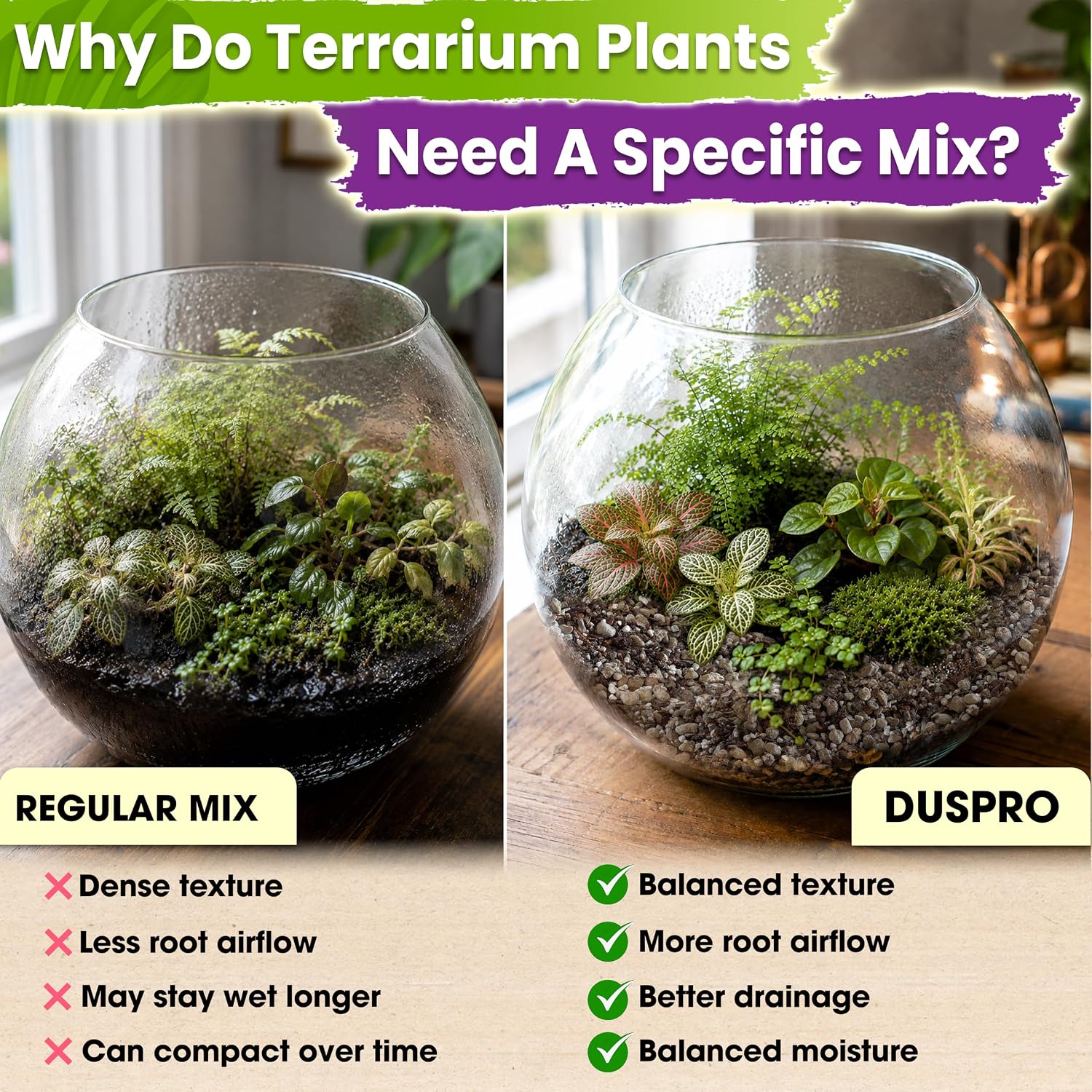 6-in-1 Terrarium Soil Mix, Pre-Mixed & Ready to Use, 8QT | Terrarium Substrate Mix with Coco Coir, Peat Moss, Pine