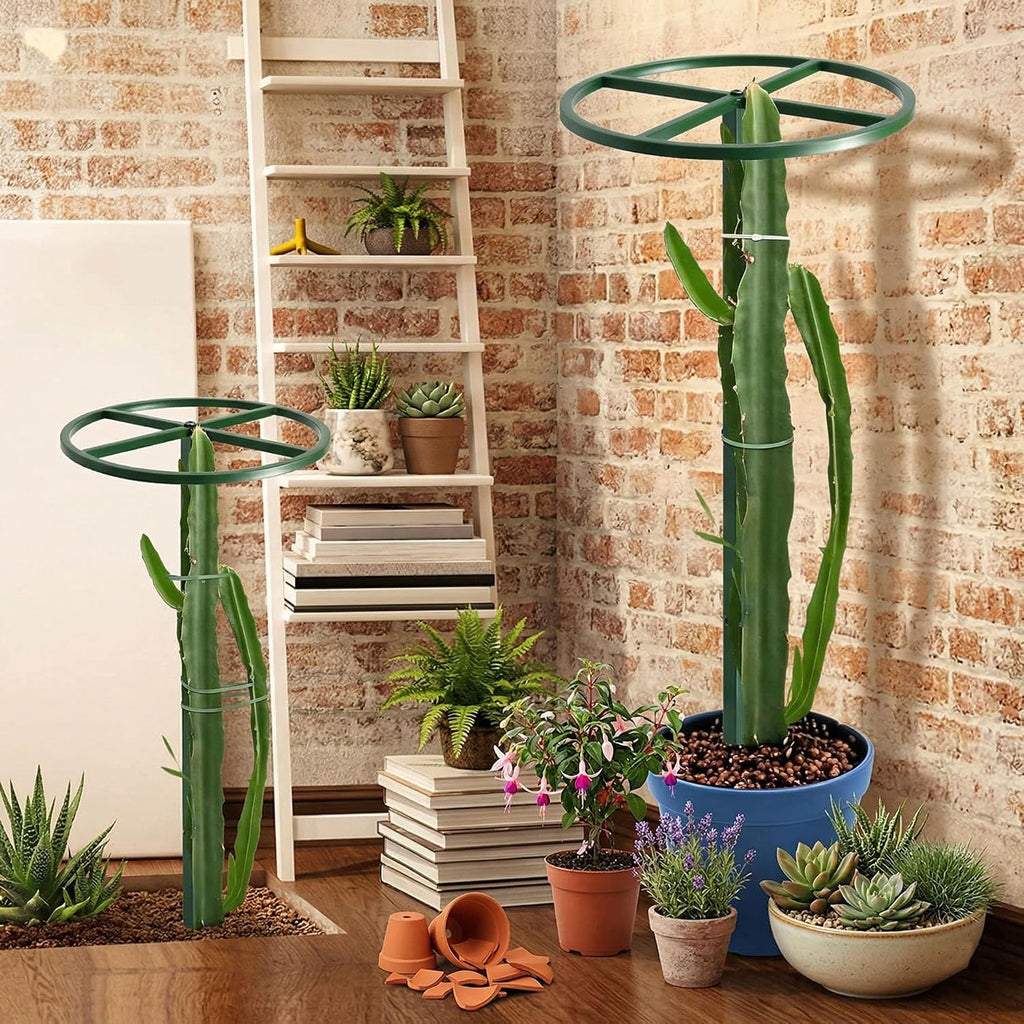 61" Adjustable Dragon Fruit Trellis, Round Ring, Green | Top apex ring supports fruit. Anti-tipping cross-base sits