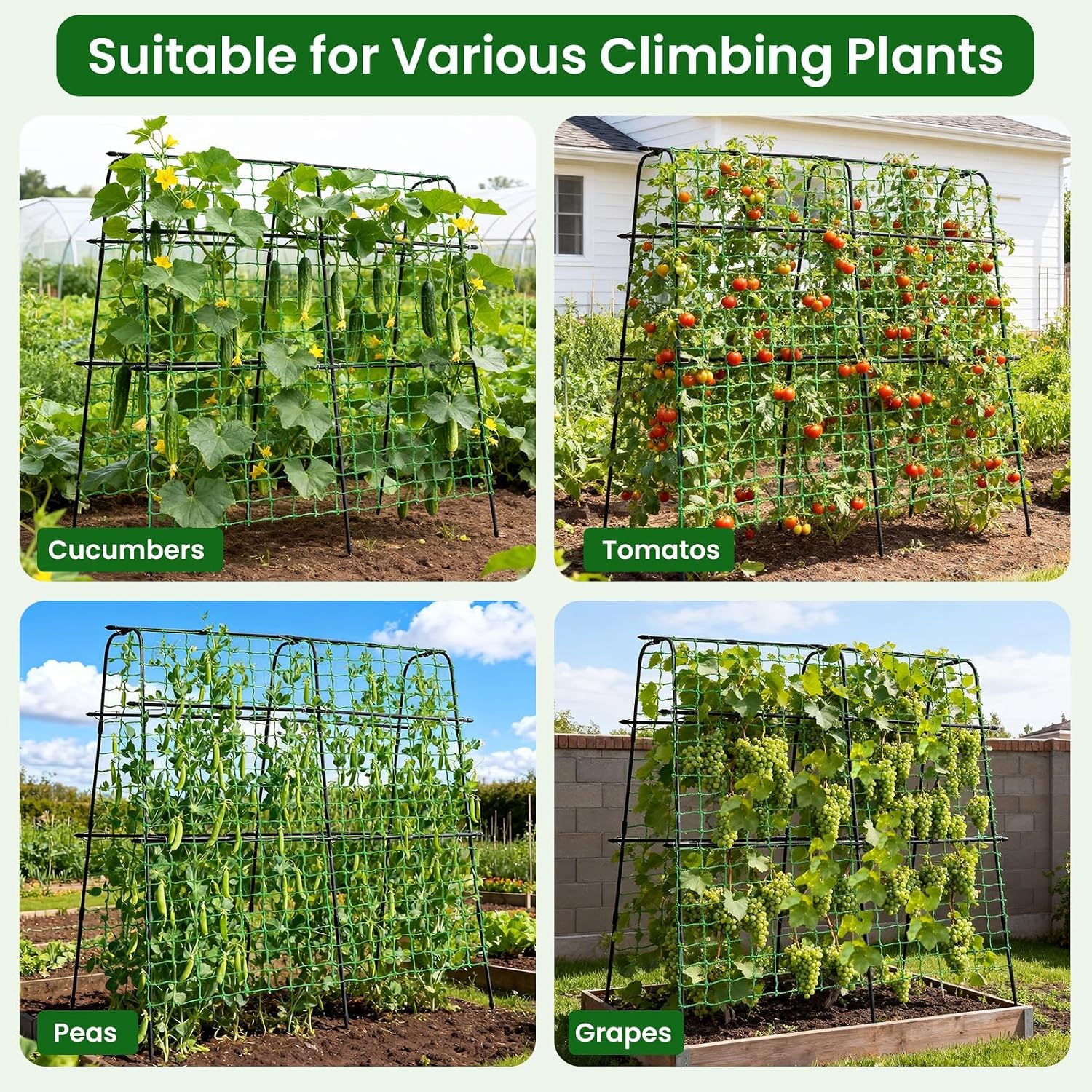 OTOSUNNY Cucumber Trellis for Raised Garden Beds, 5.3x5.3ft Garden Arch Trellis for Outdoor Climbing Plants, 0.55"