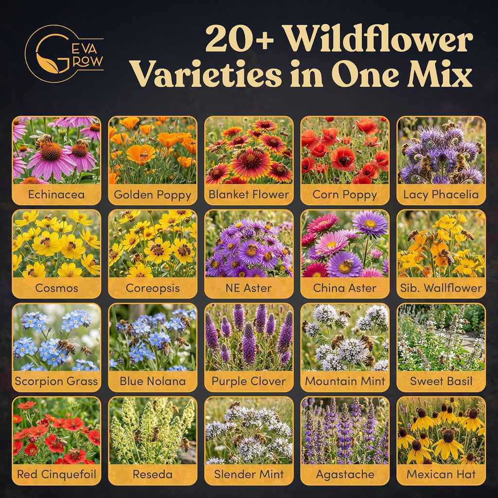 Bulk Wildflower Seed Mix – Honey Bee Wildflower Seed Mix 1 Pound Tub by GevaGrow | Bulk 300,000+ Seed Tub | 19 Variety