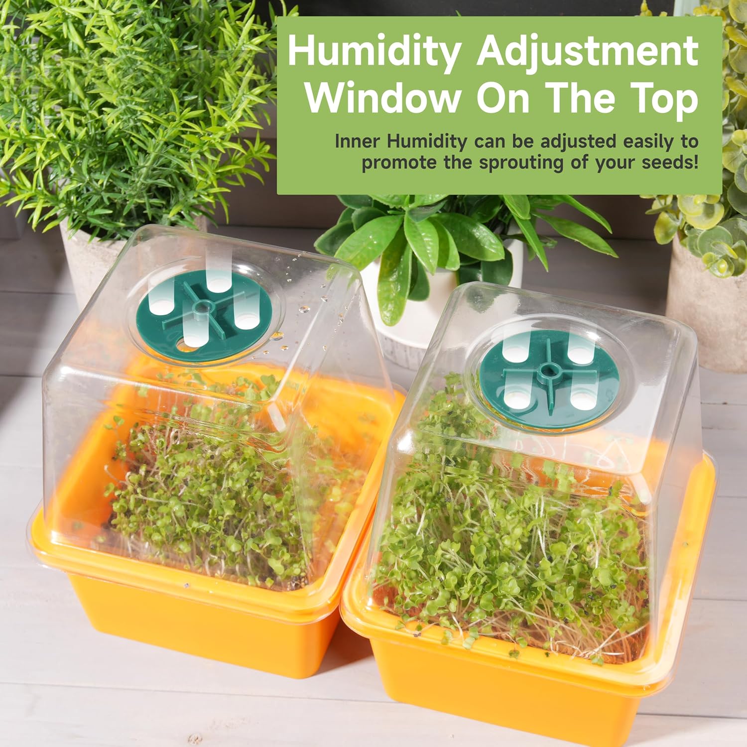 Microgreen Growing Trays, 5" x 5" Sprouting Tray with Humidity Dome, 1.2 mm Small Mesh Holes, BPA Free, Sprouter Kit