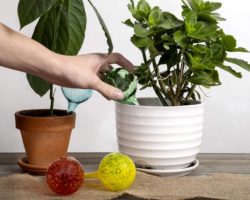 Besti Large Self Watering Globes for Plants (6-Pack) Waters Greenery Up to 2 Weeks Hands Free | Durable, Multicolored