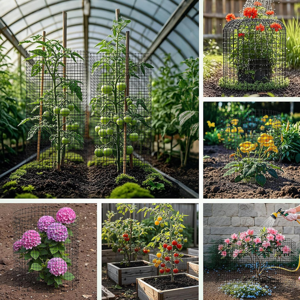 10 Pack Plant Protectors from Animals,12x12in Metal Wire Plant Cages | Outdoor Gardening Supplies, Garden Plant